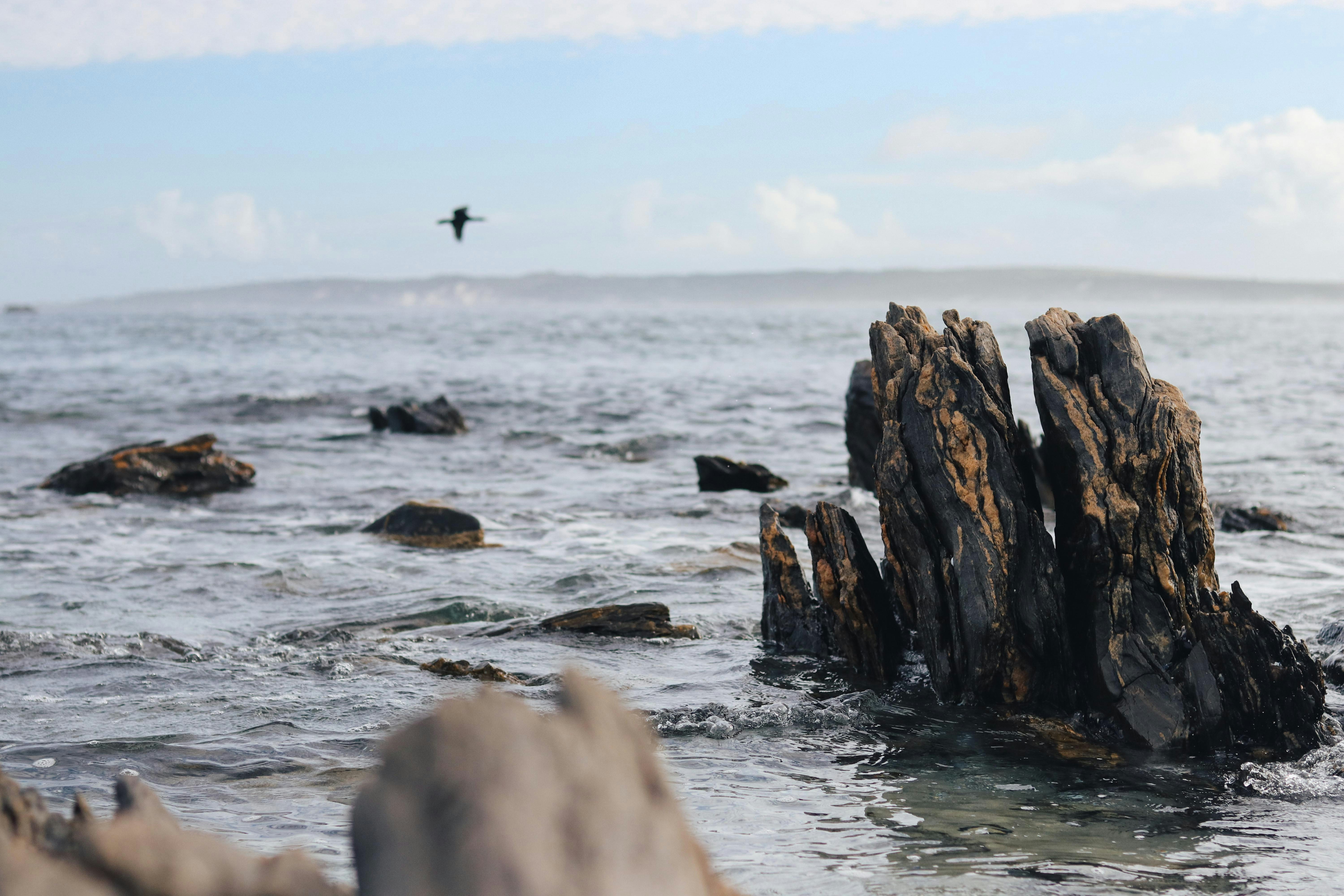 Photo by nicoladreyer_g