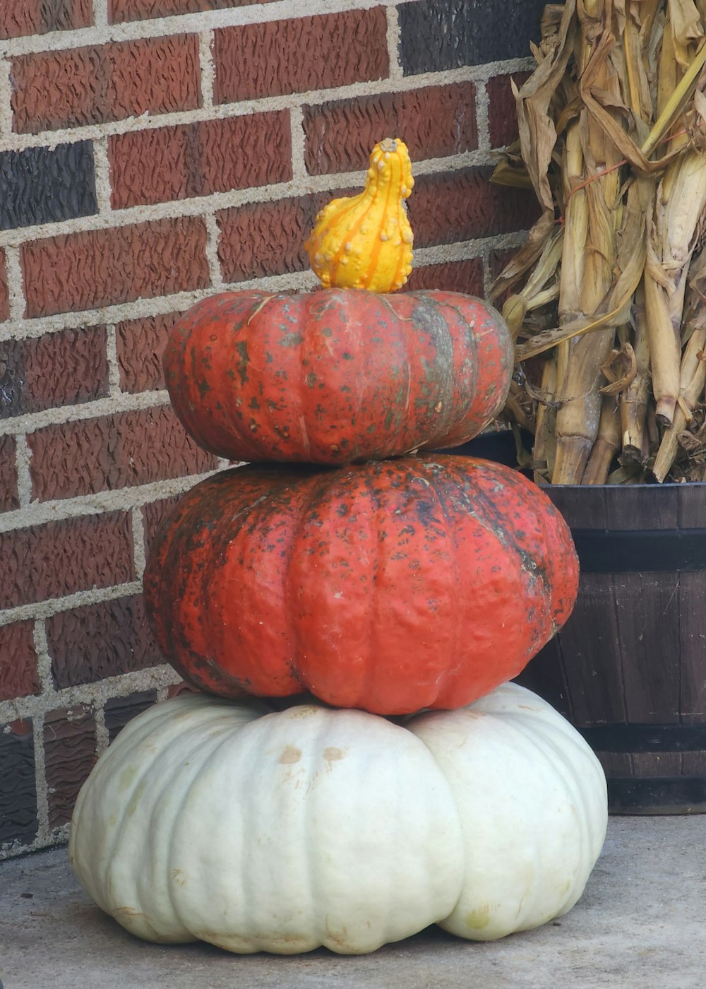 a group of pumpkins next to a brick wall