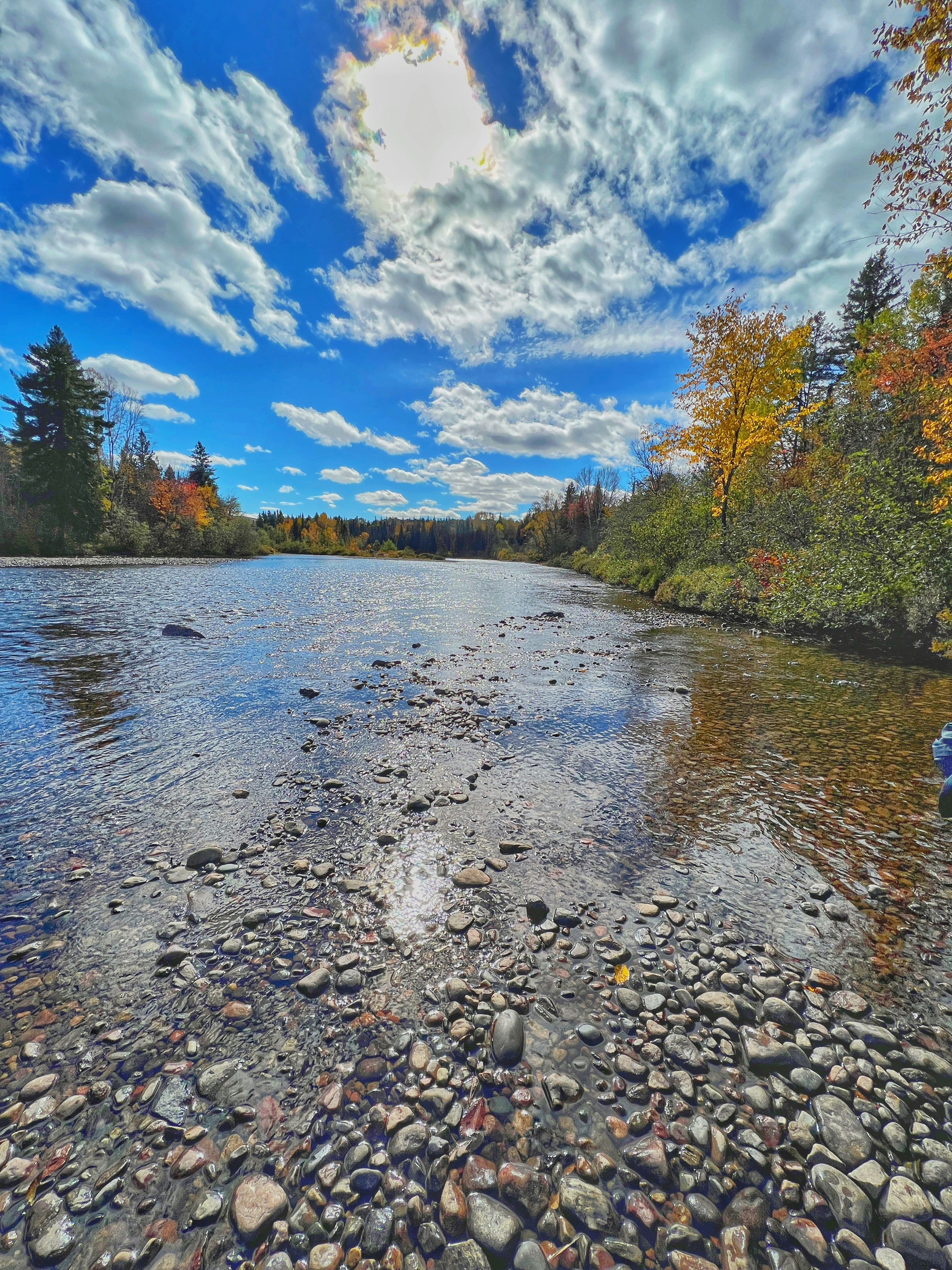 a river with rocks and trees