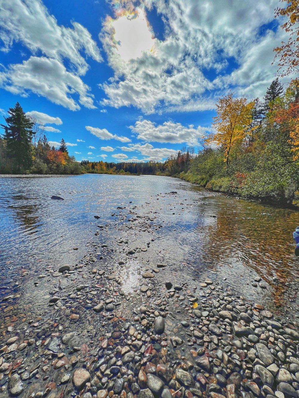 a river with rocks and trees