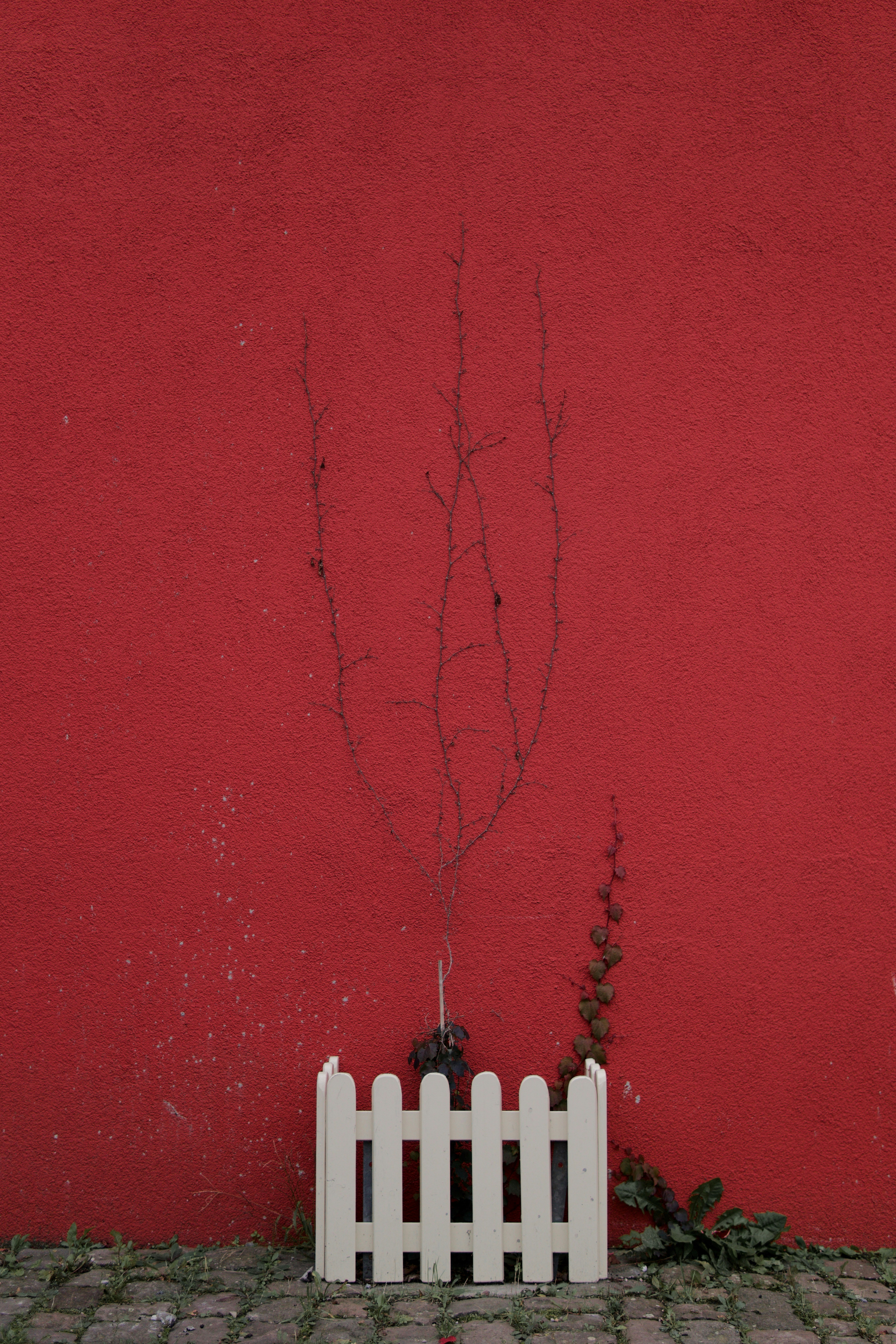 blood type wallpaper, wallpaper, Golongan Darah B+: Fakta dan Mitos yang Perlu Diketahui 5