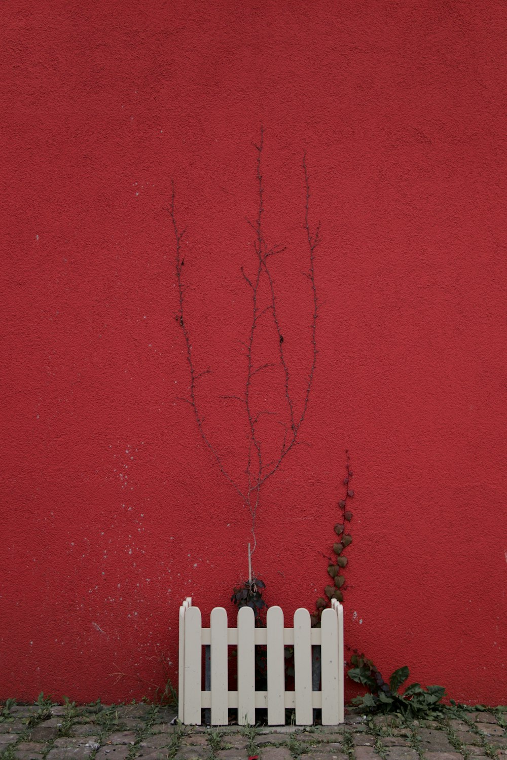 白いピケットフェンスと白いピケットフェンスのある赤い壁