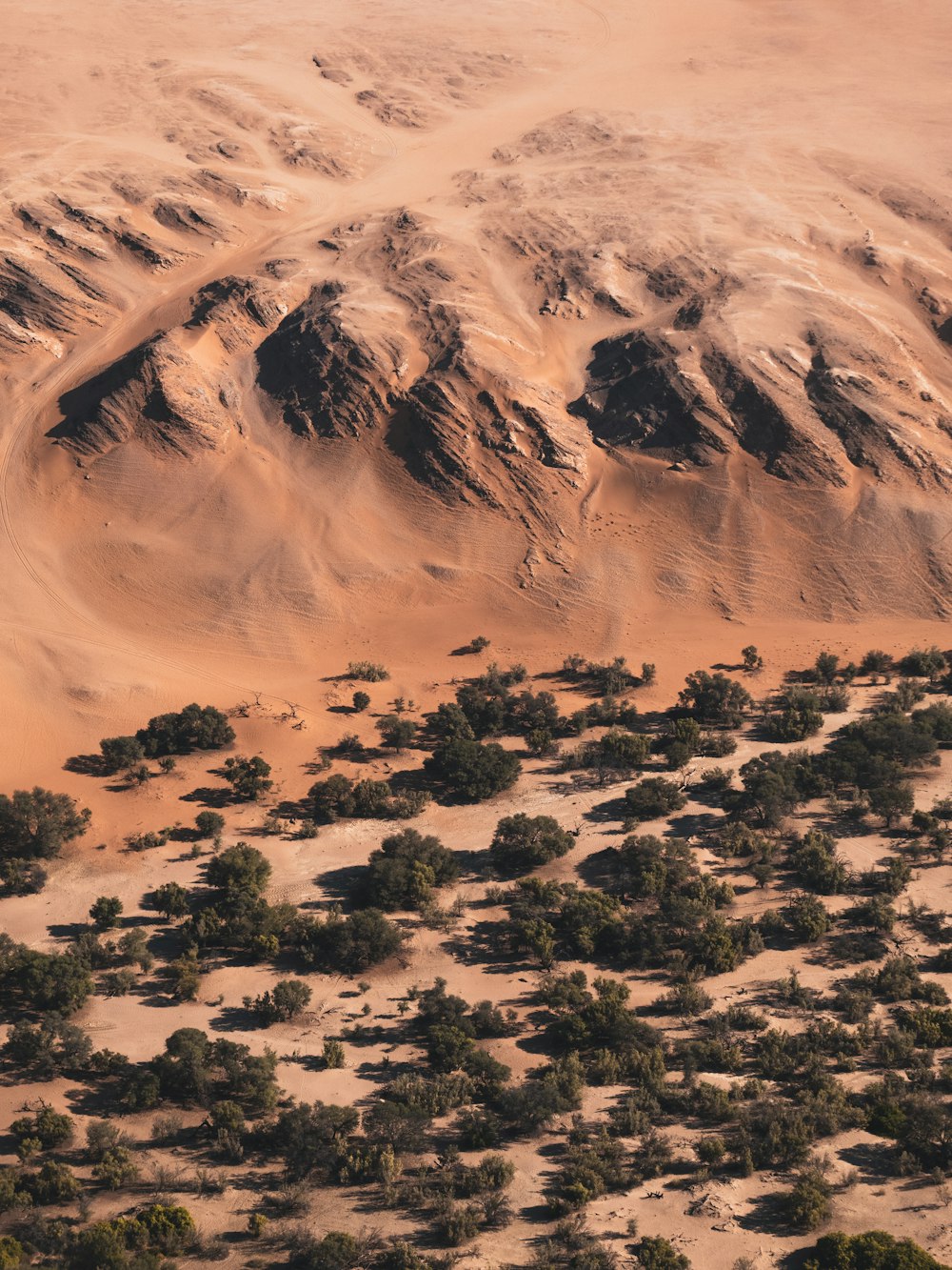 Un vaste paysage désertique