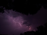 Dark stormy sky filled with dramatic lightning bolts surrounded by silhouetted trees. The scene is moody and powerful, capturing the raw energy of nature.