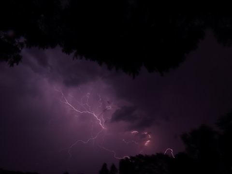 Dark stormy sky filled with dramatic lightning bolts surrounded by silhouetted trees. The scene is moody and powerful, capturing the raw energy of nature.
