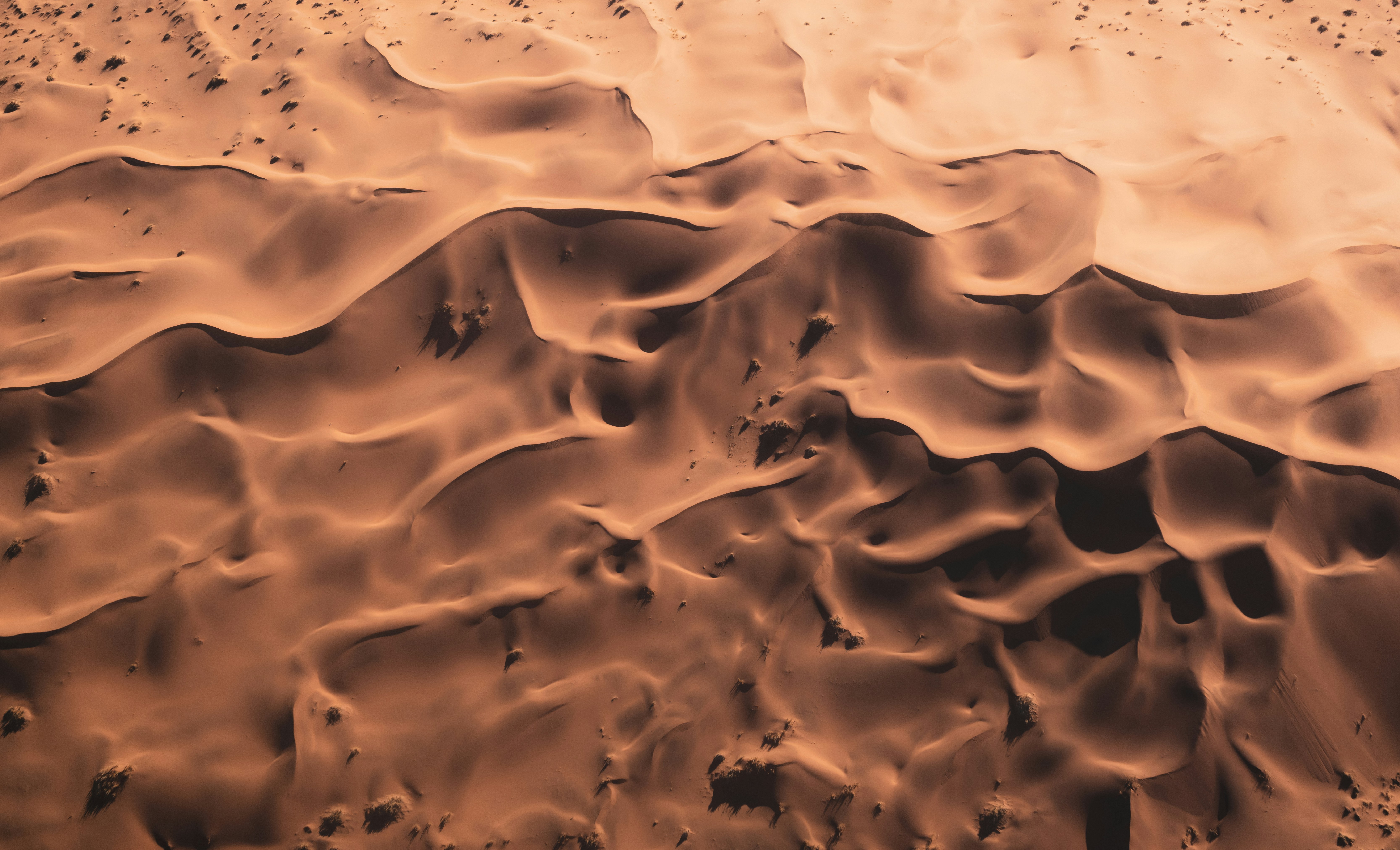 Photo by joshuakettle