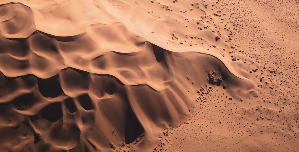 a close up of a desert
