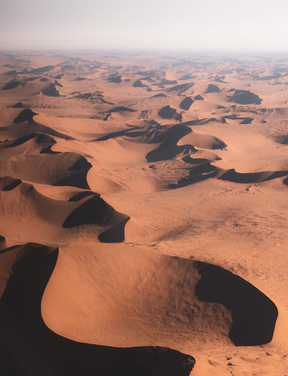 Aerial view of a river winding through a desert landscape