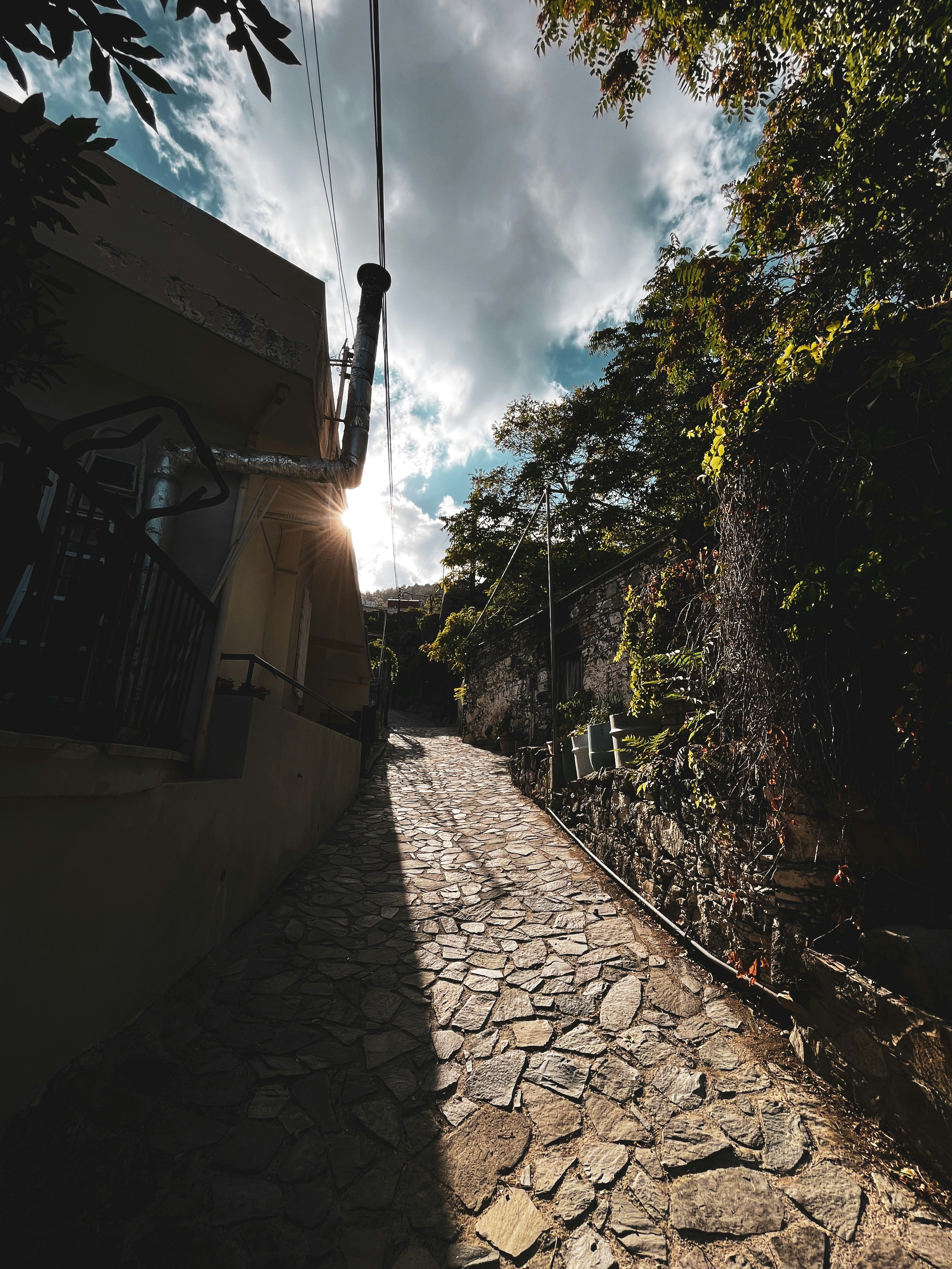 eine Kopfsteinpflasterstraße mit Bäumen auf beiden Seiten