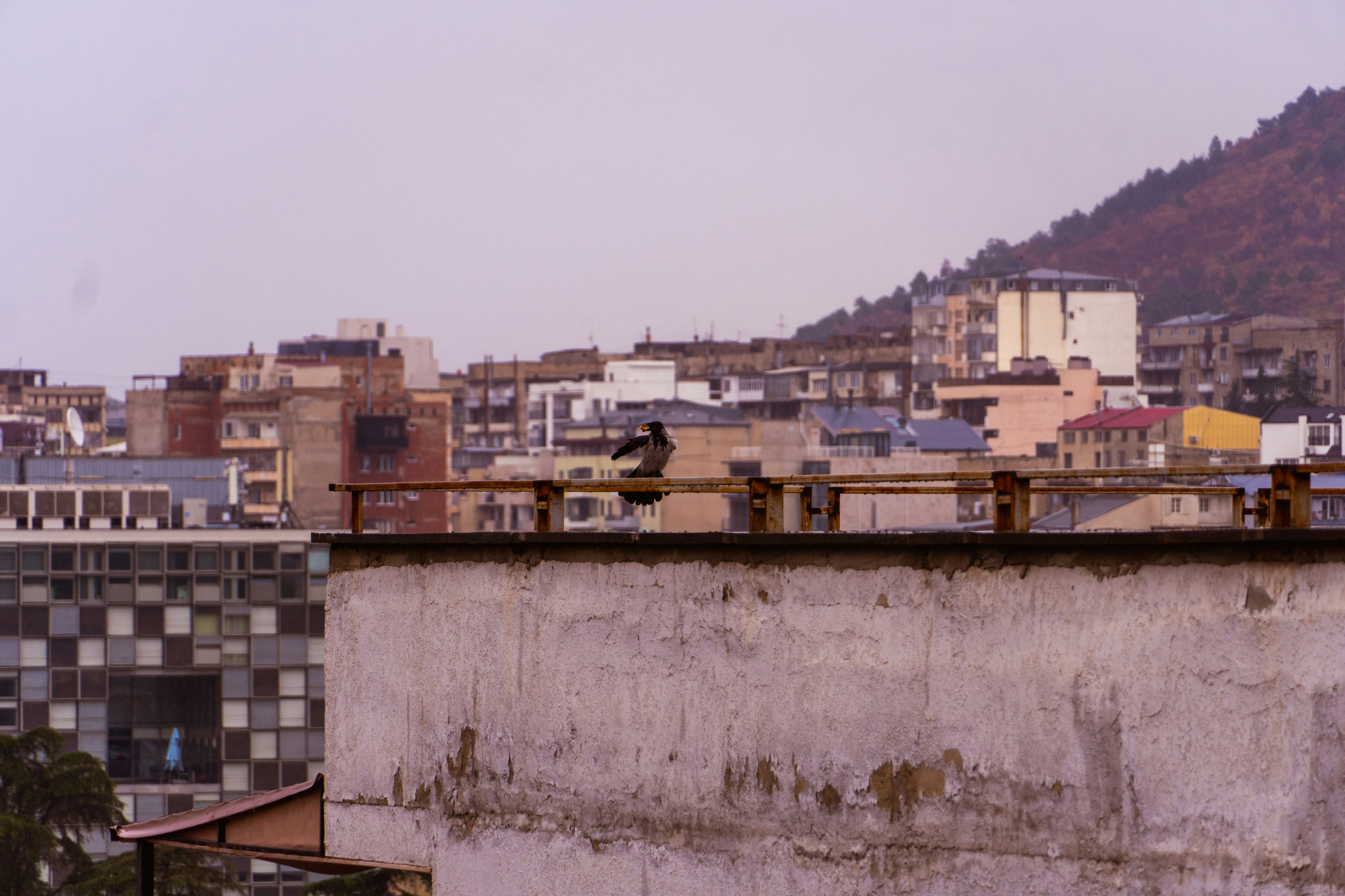 Photo by shabablinchikow