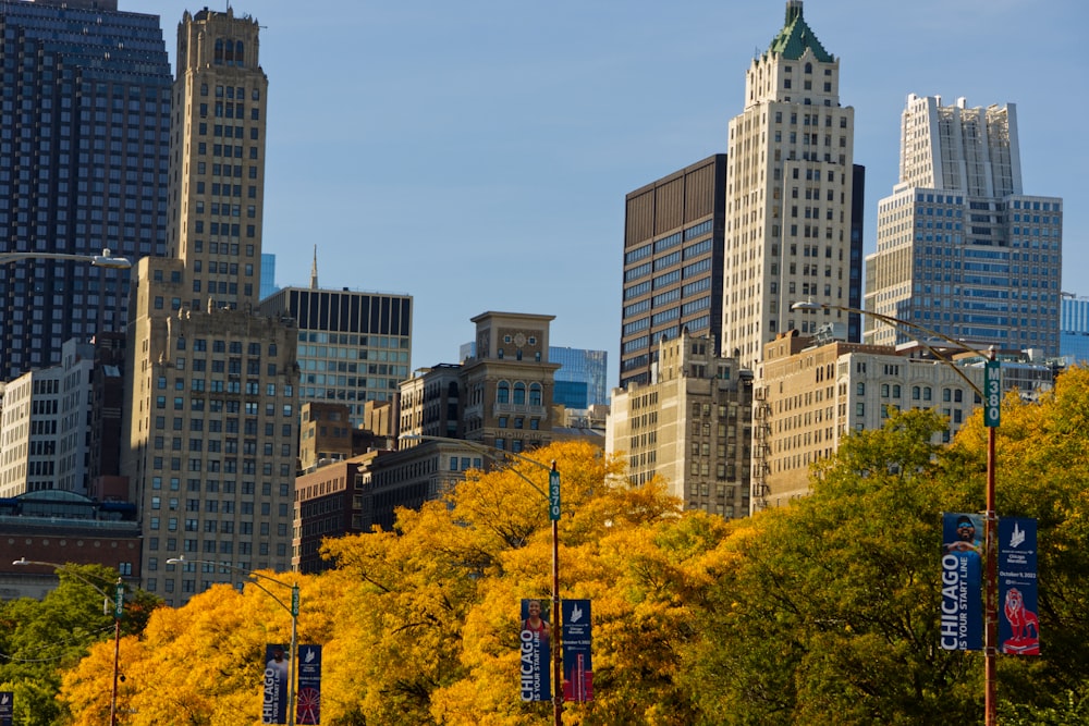 a city with many tall buildings