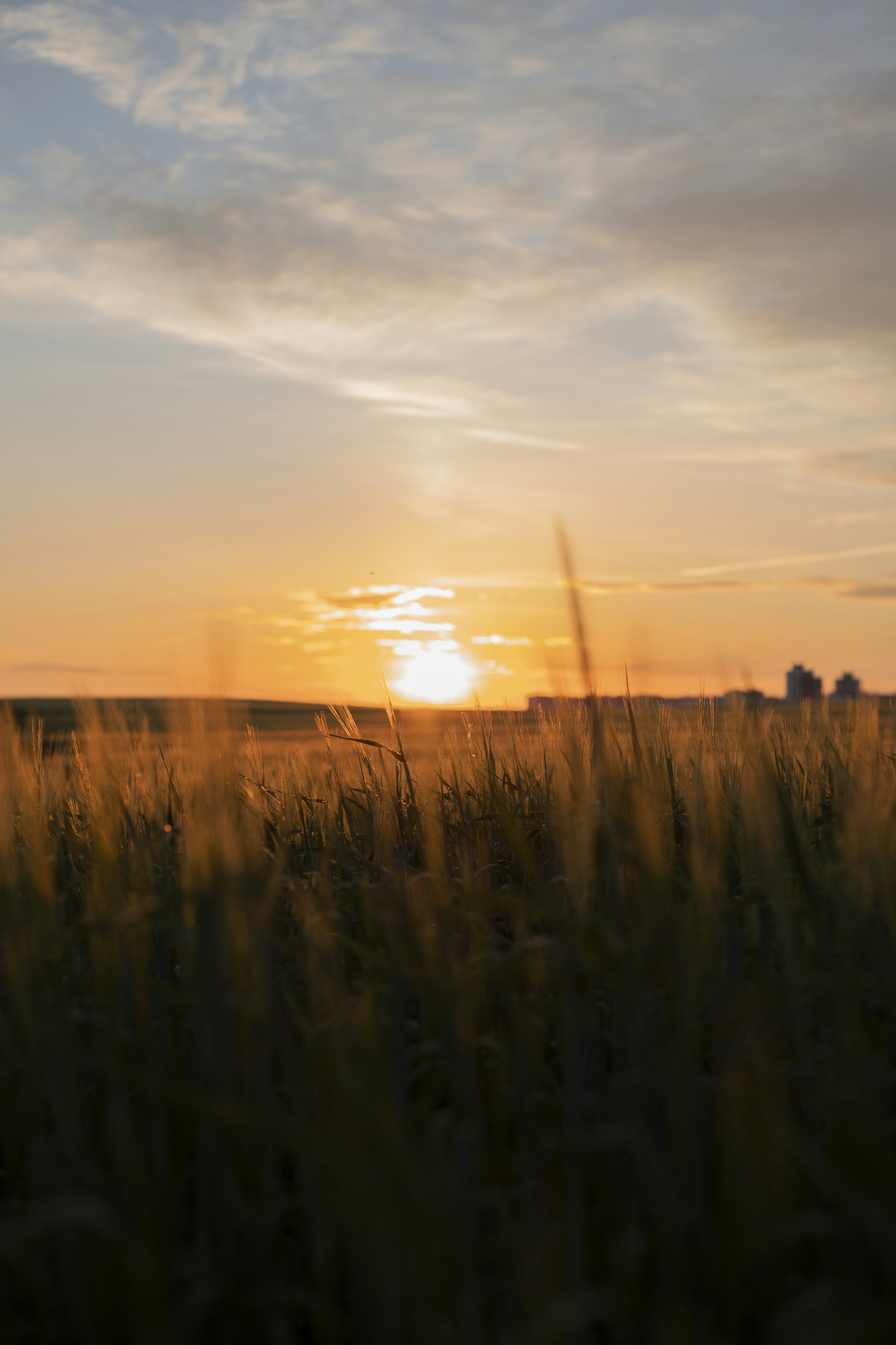 Photo by art_almighty