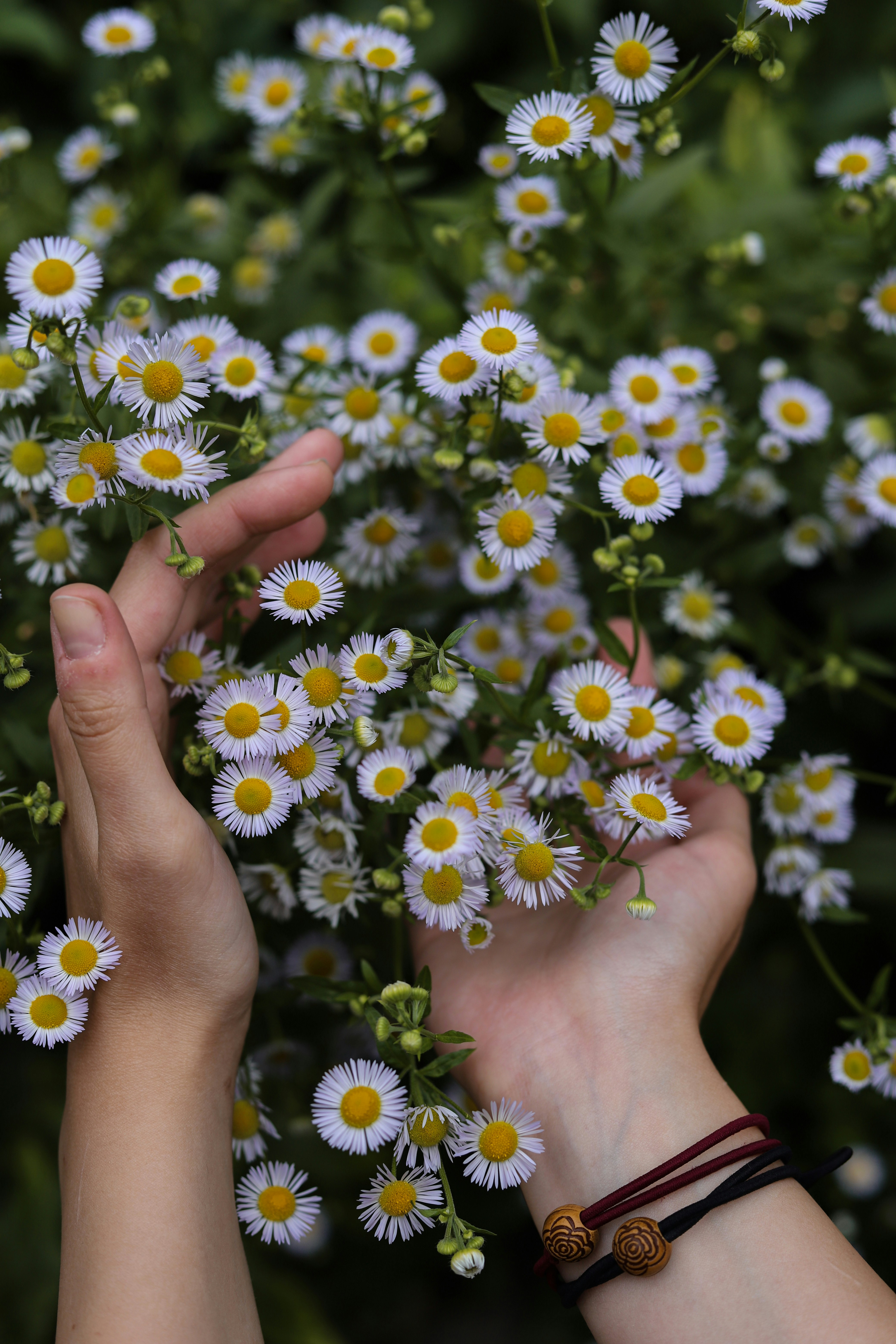 a person holding a flower