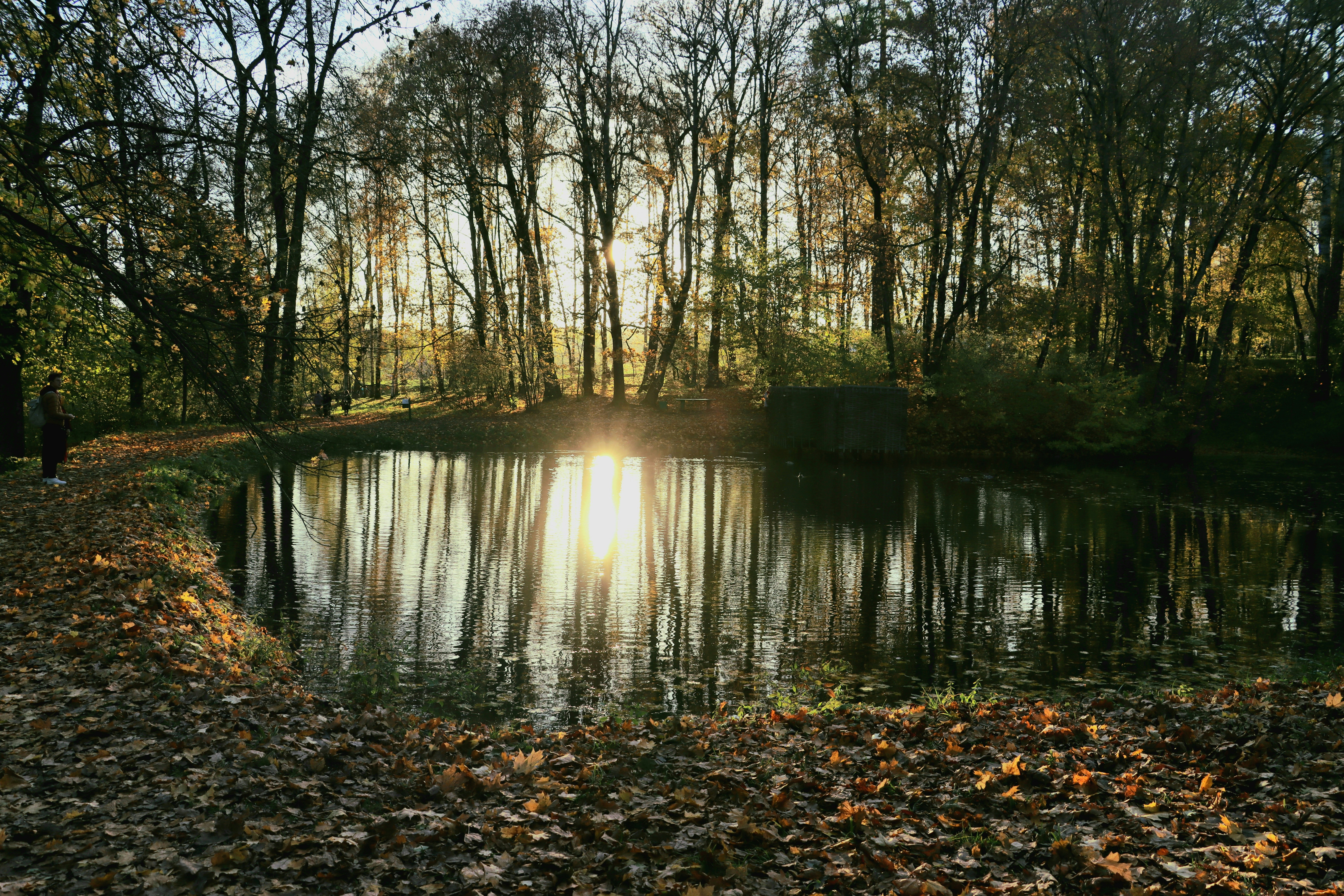 Photo by irina_chishkova