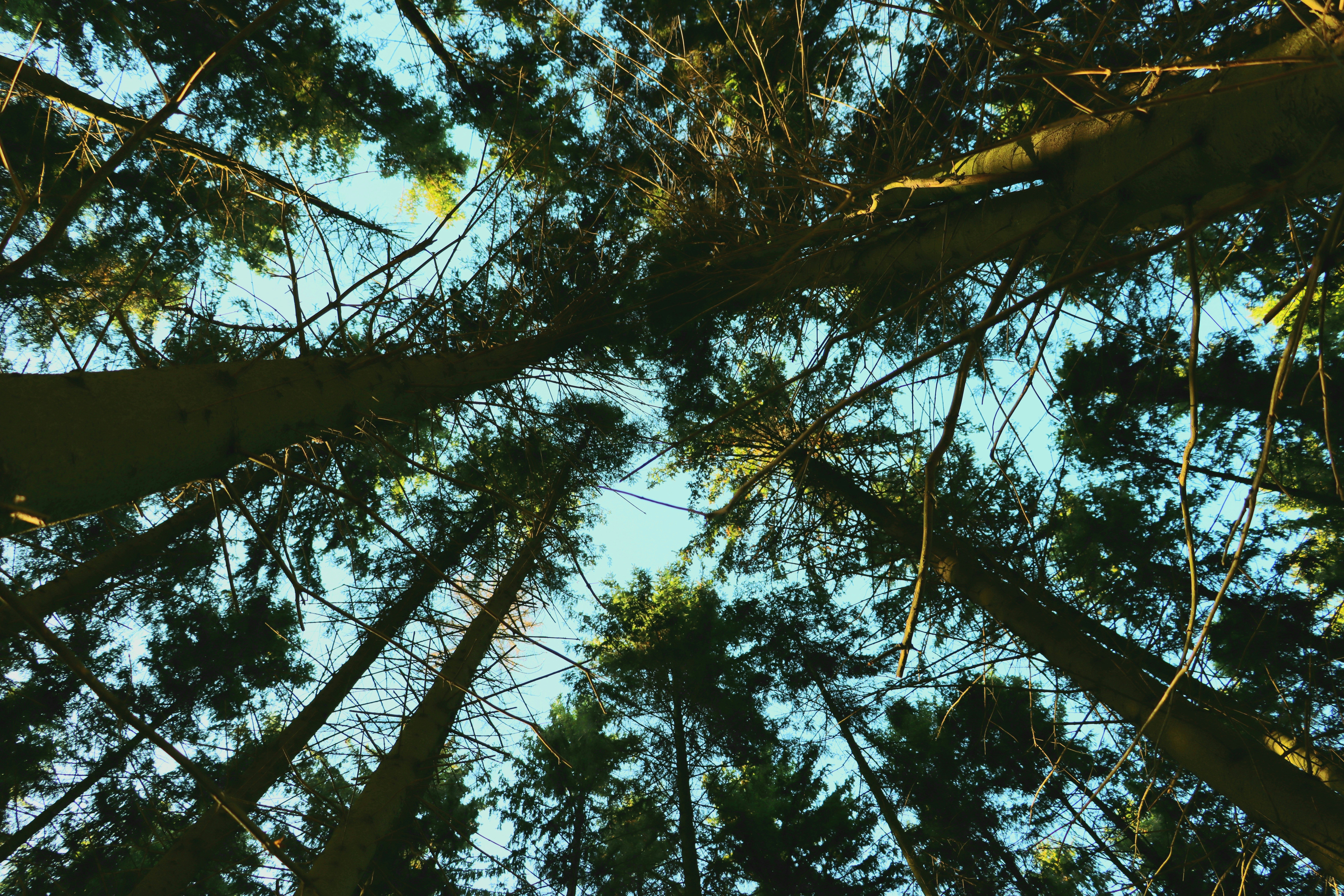 Photo by irina_chishkova