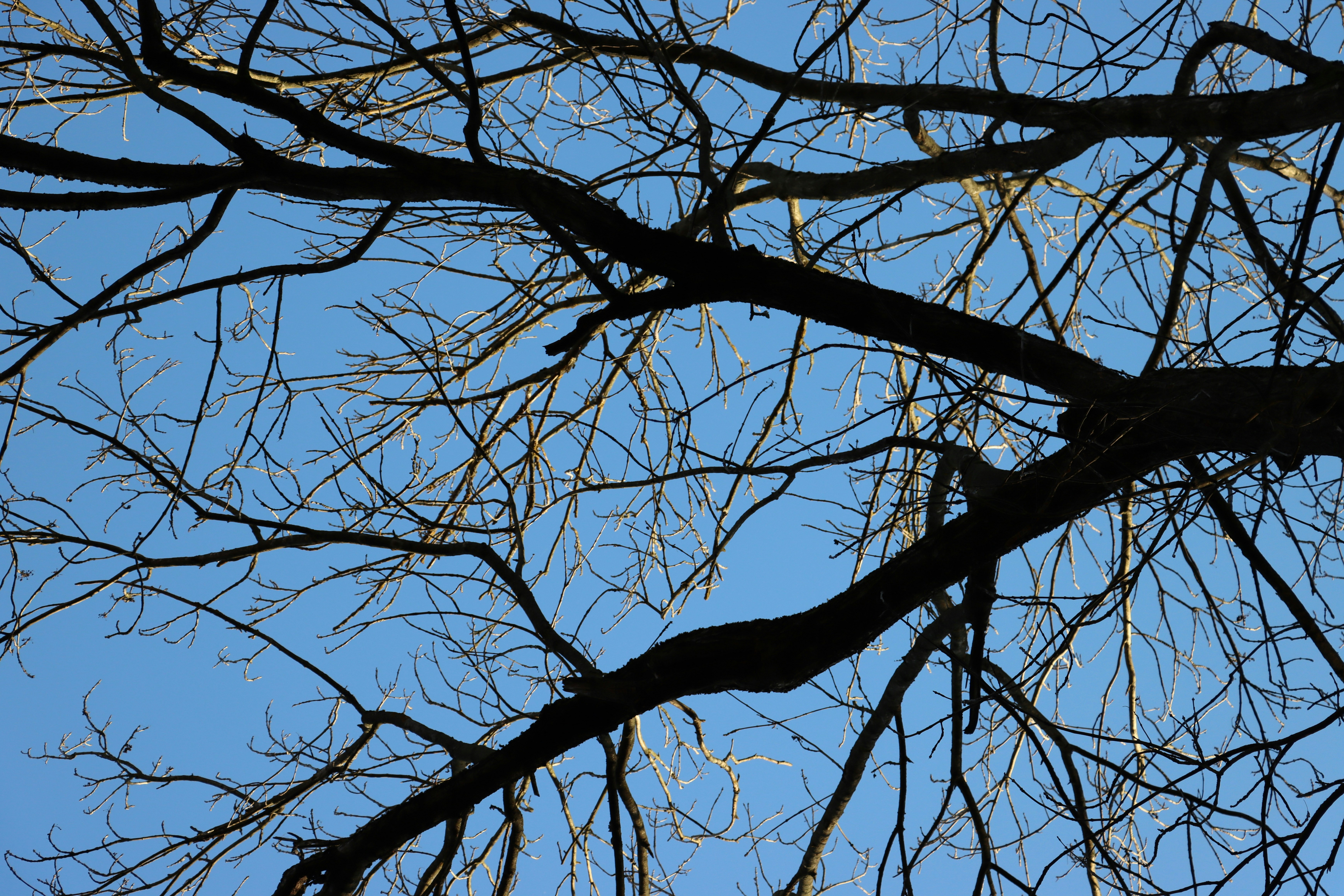 Photo by irina_chishkova