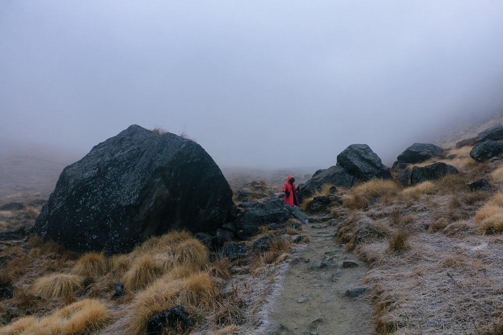 una persona che cammina su un sentiero in una zona rocciosa