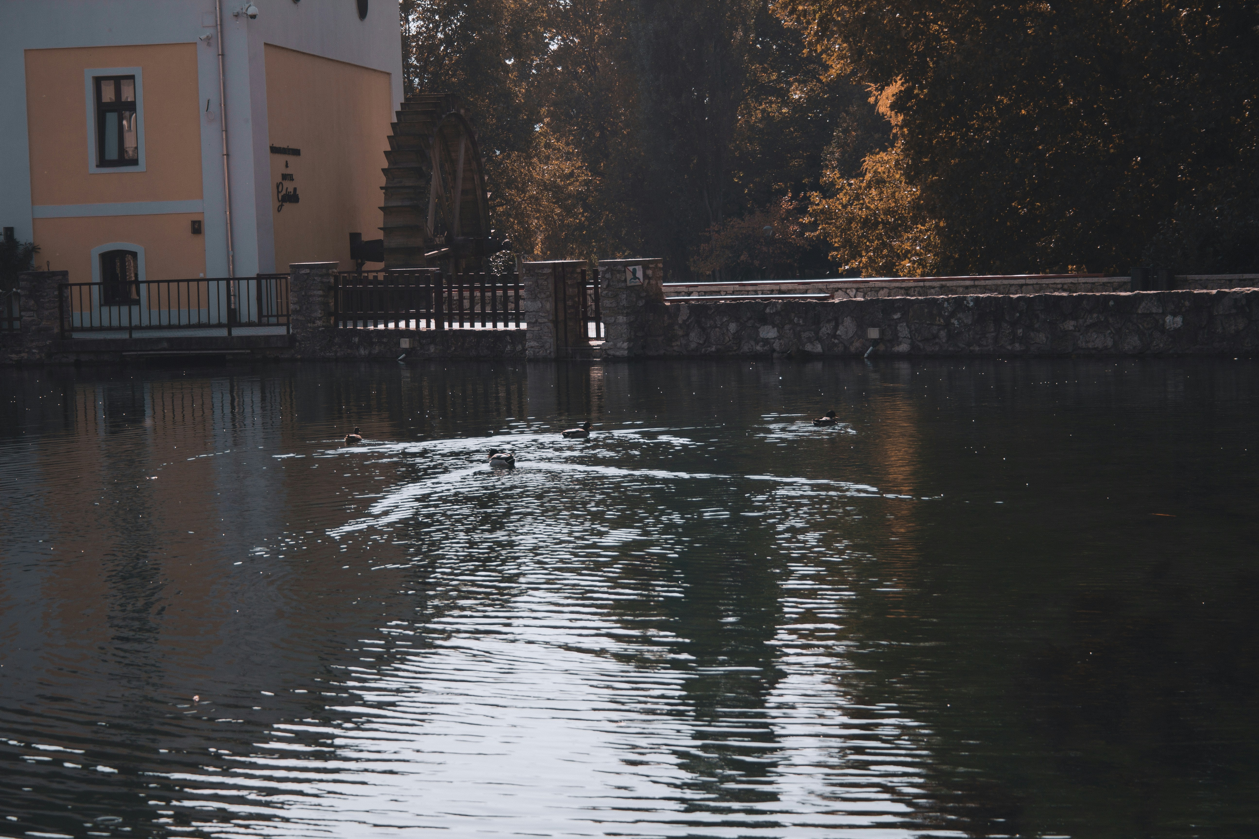 Photo by szabolcsantal