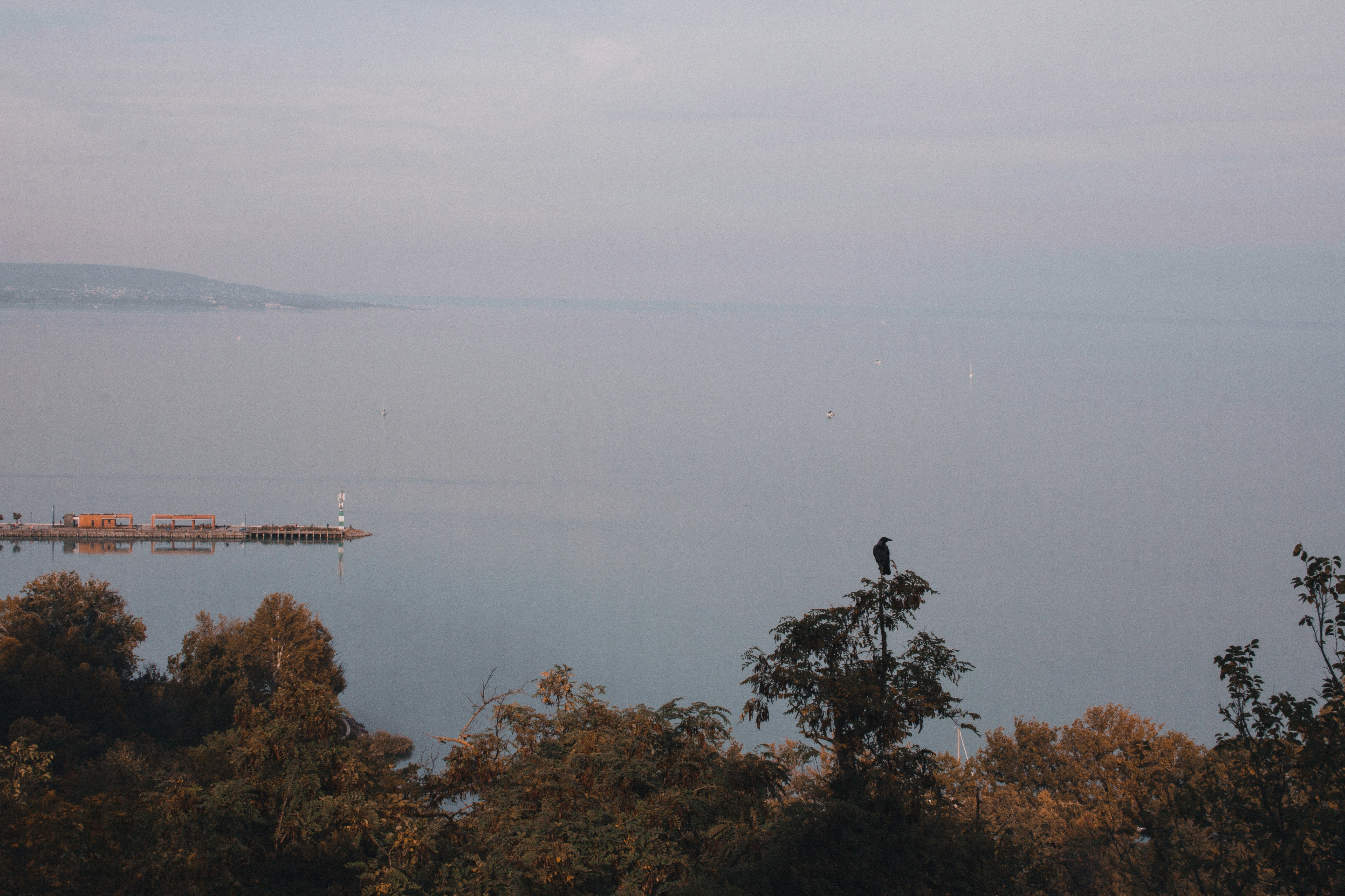 Photo by szabolcsantal