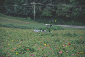 A happy homeowner pushing a lightweight electric mower with a smile, surrounded by blooming flowers.