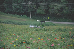 A vibrant field of wildflowers blooms with colors of red, yellow, and pink, contrasting against a backdrop of dense green trees. A robotic lawnmower is visible in the middle of the field, with power lines and a road in the distance.