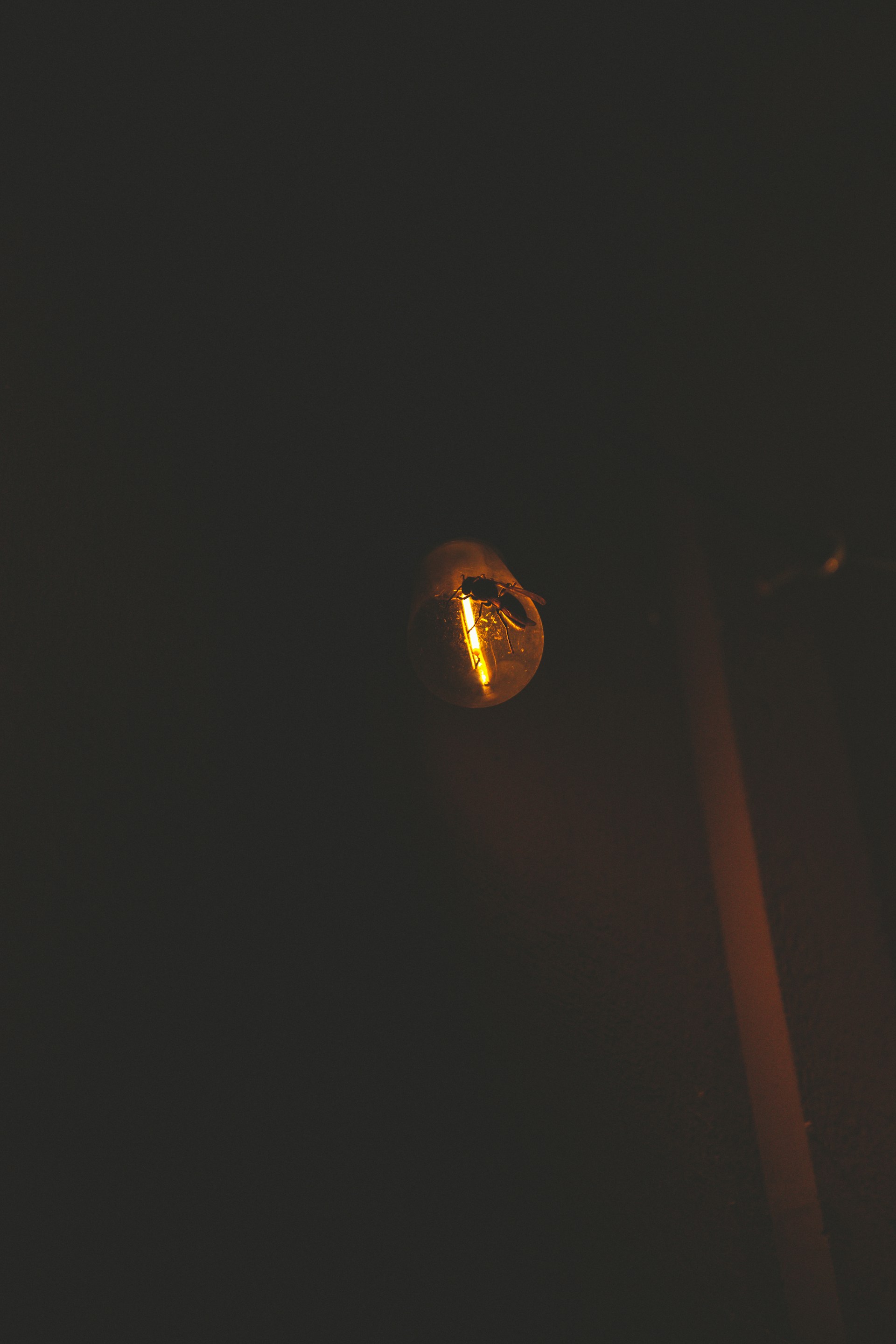 a light in the dark