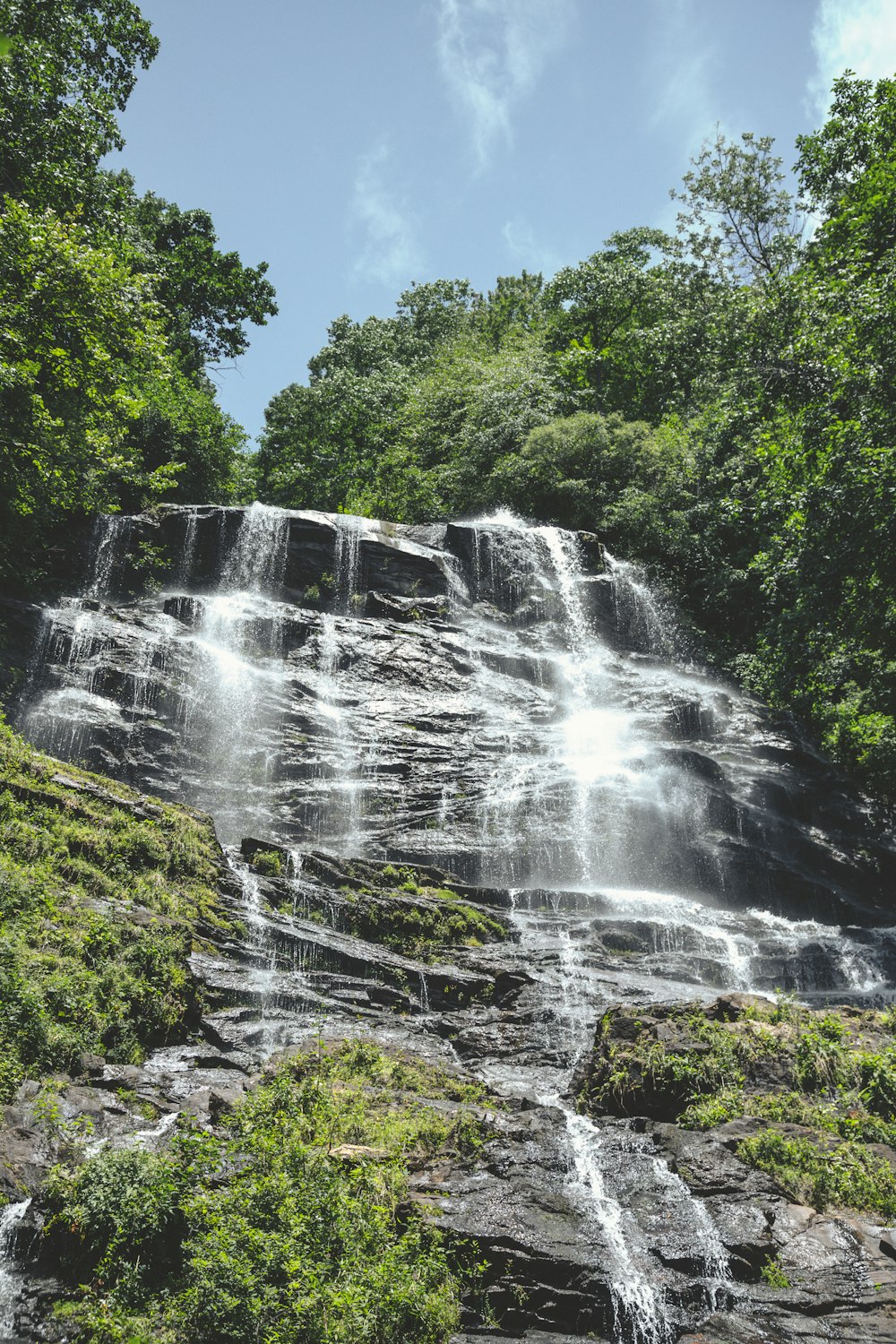 Kiliyur Falls with trees around it