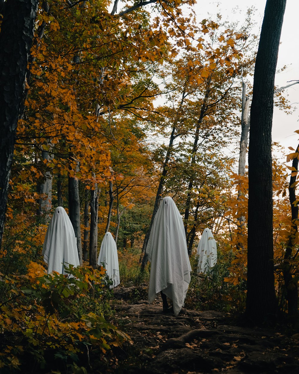 a group of white umbrellas in a forest