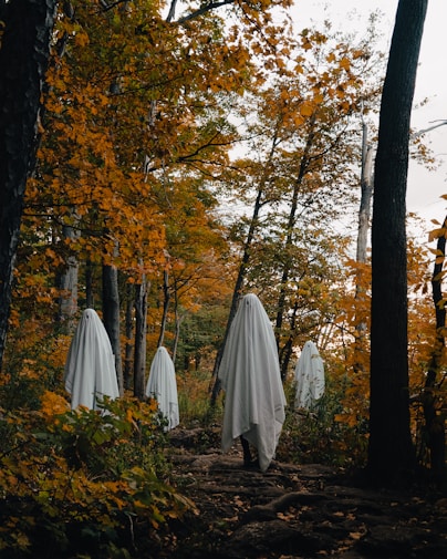 a group of white umbrellas in a forest