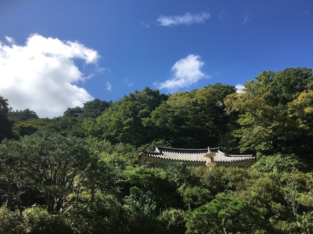 a building surrounded by trees