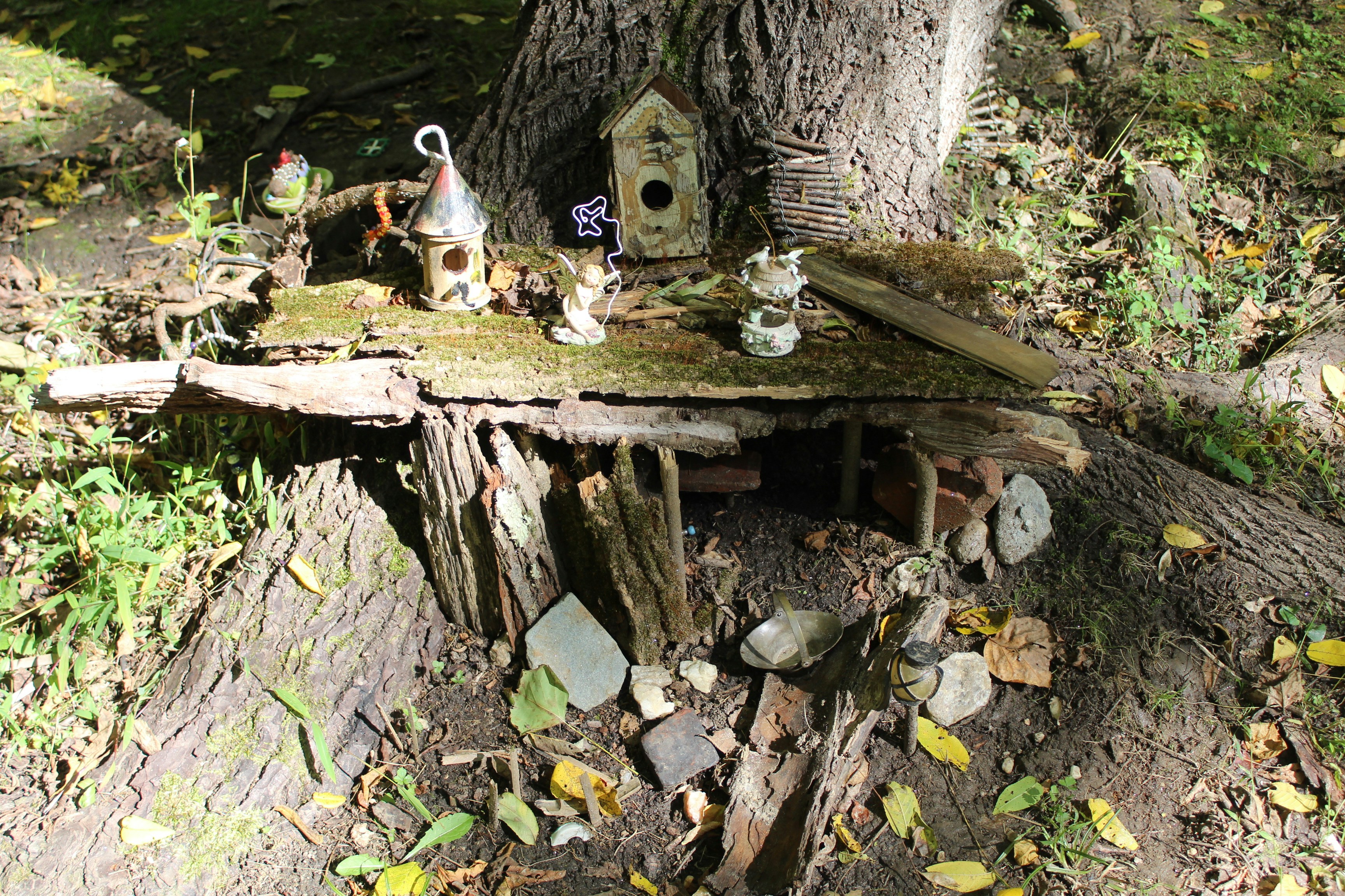 The Enchanting World of Household Fairies: Myths, Beliefs, and Modern Interpretations
