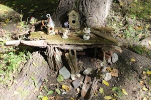 Le Royaume Enchanté