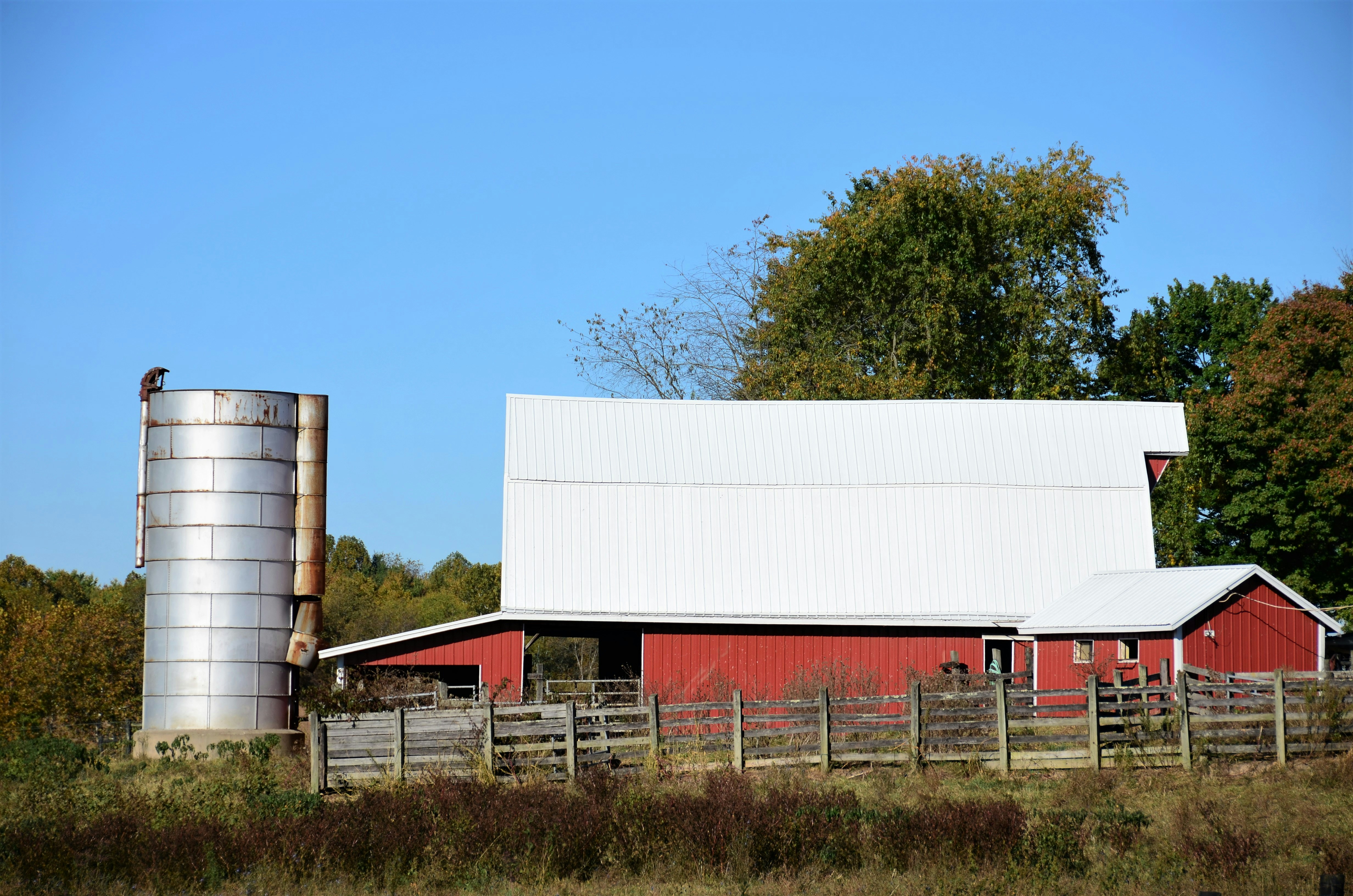 Hygienic dairy processing facility