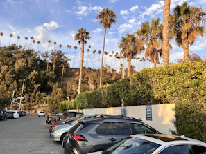 A lineup of various rental cars including SUVs, pickups, and sedans in a sunny lot.