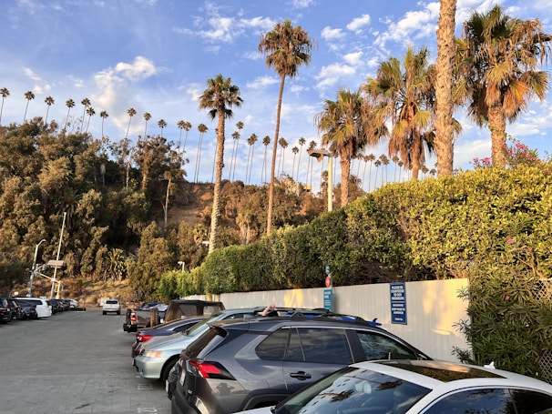 A spacious parking lot filled with various parked vehicles.