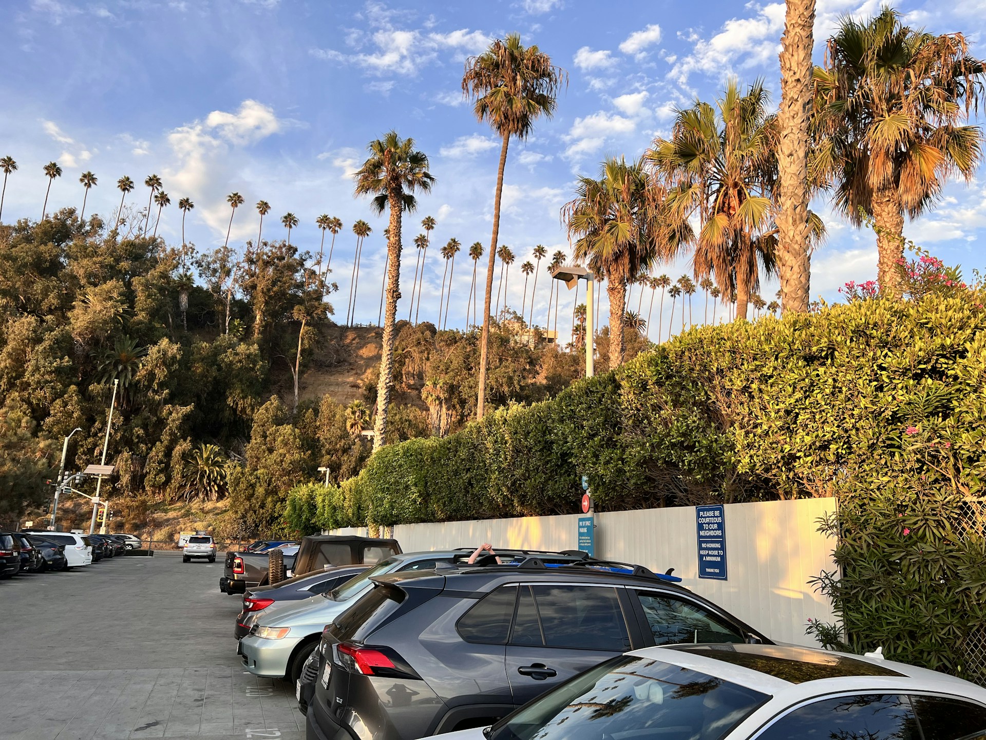 woman wearing yellow long-sleeved dress under white clouds and blue sky during daytime