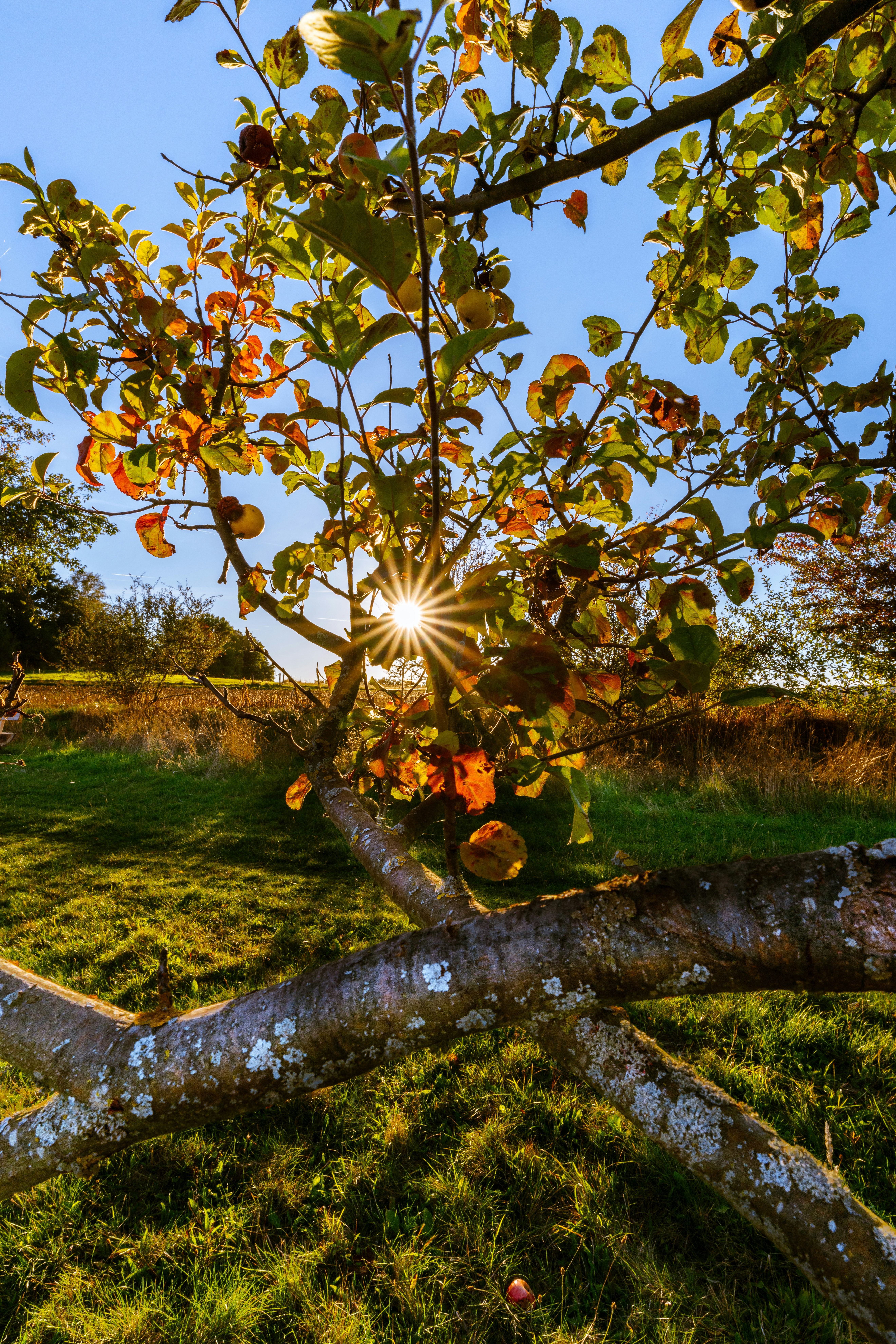 Photo by picture_scape