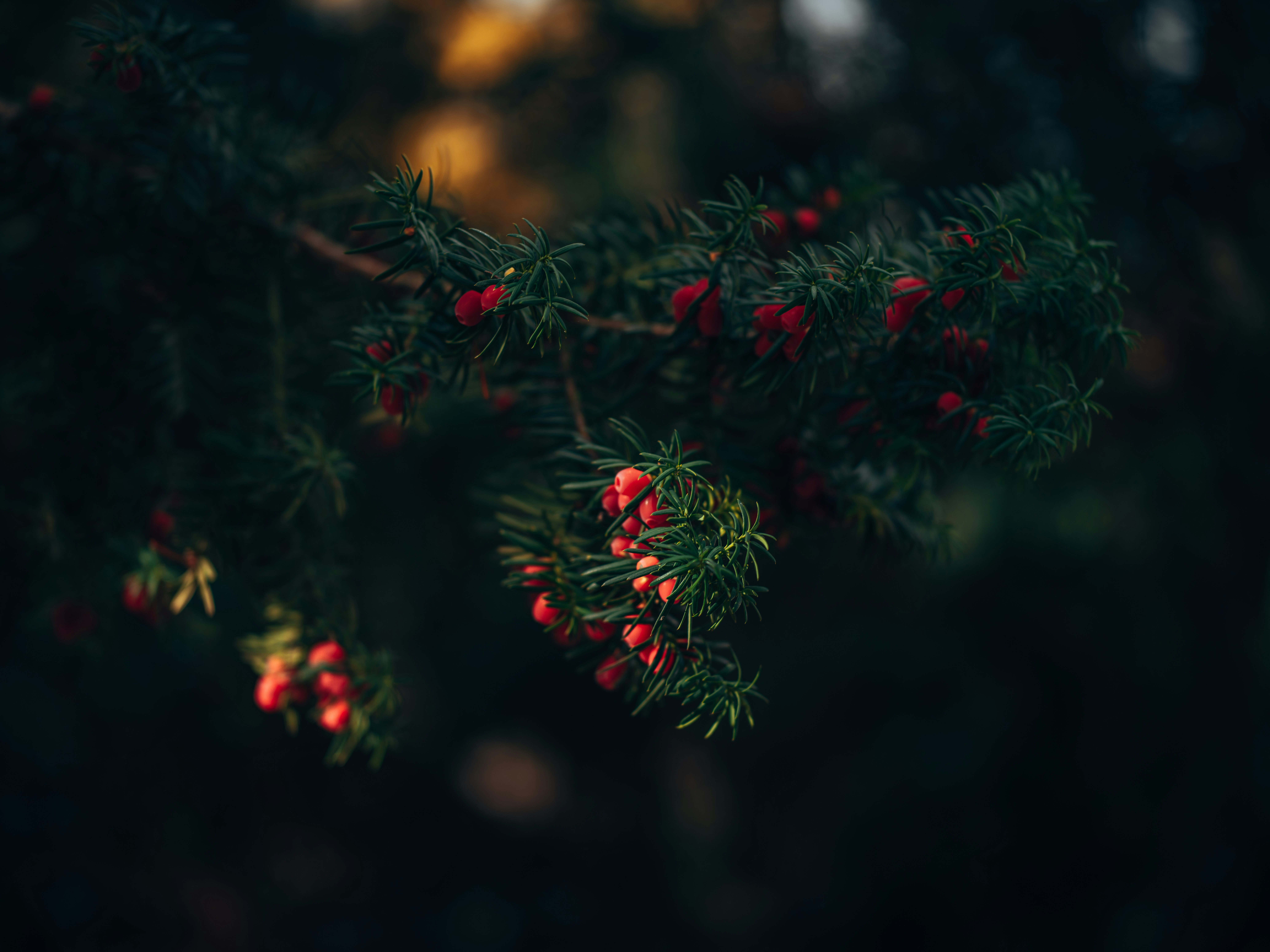 Why Micro‑Seasonal Dressing Wins in 2026: Advanced Wardrobe Strategies for Men (and Beyond)