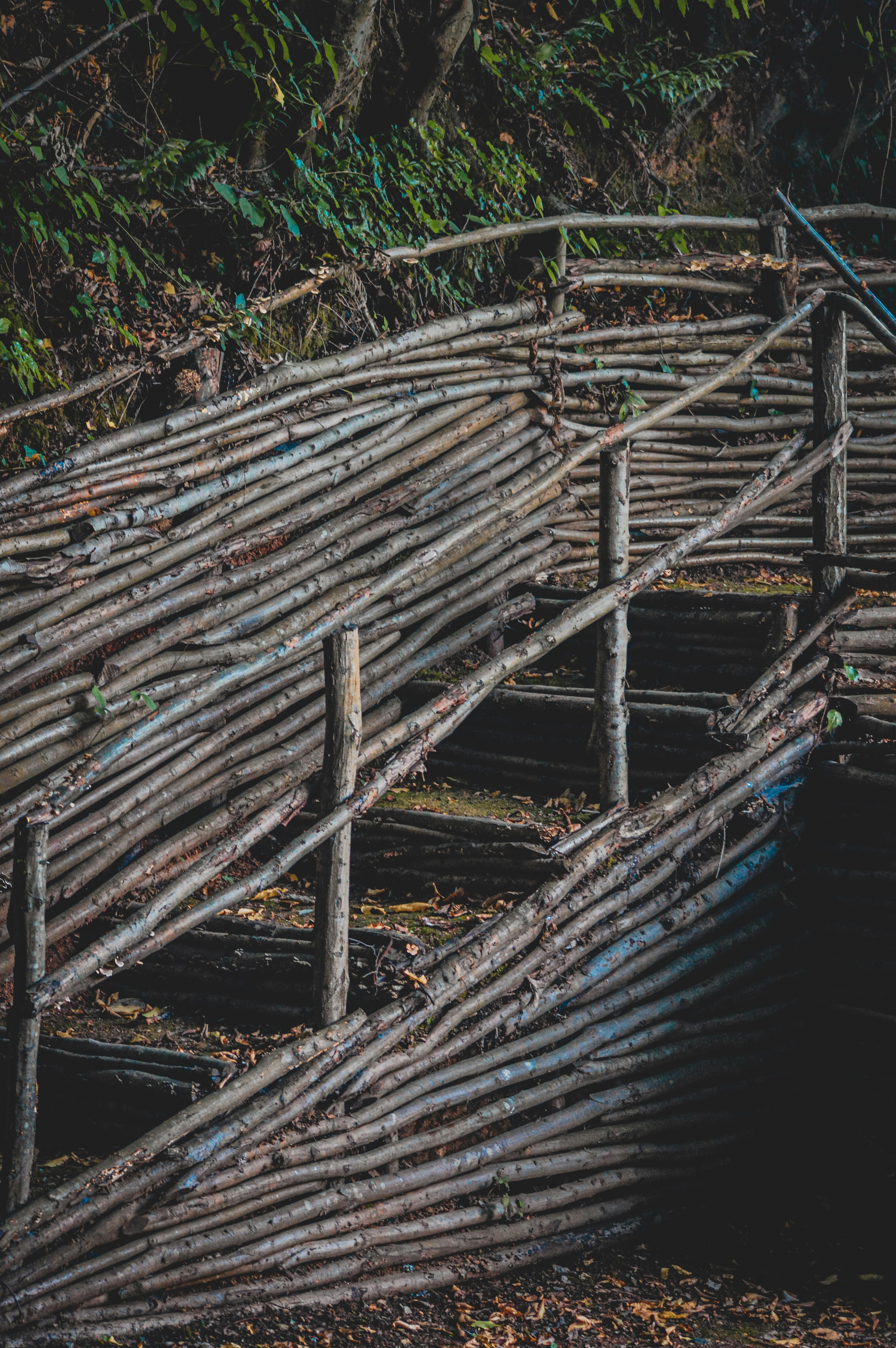 Photo by saidyigitcamlica