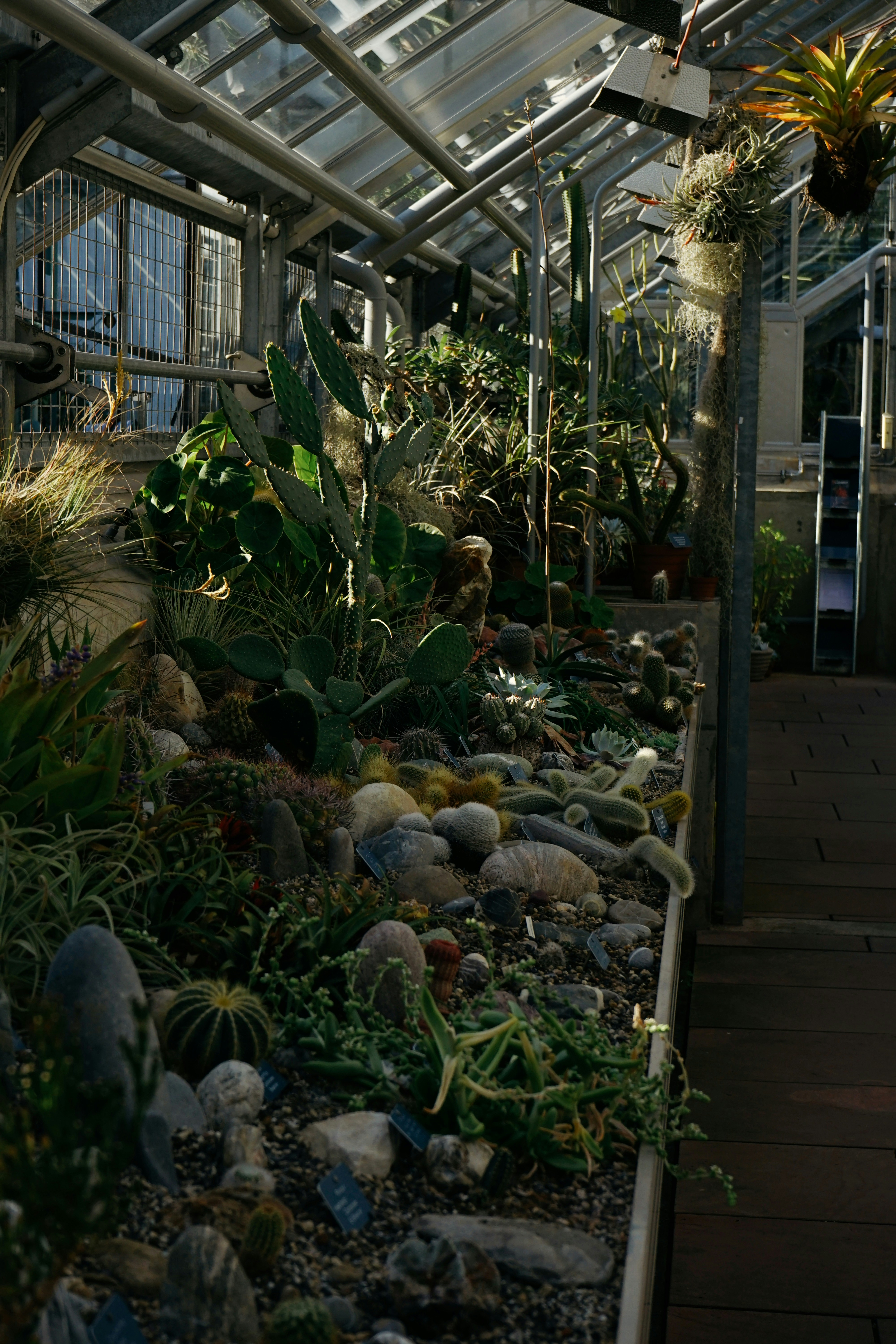 Un grand jardin intérieur photo Photo Botanischer garten der