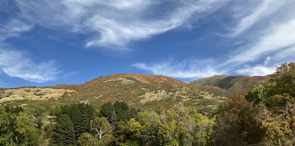 Eine Landschaft mit Bäumen und Hügeln