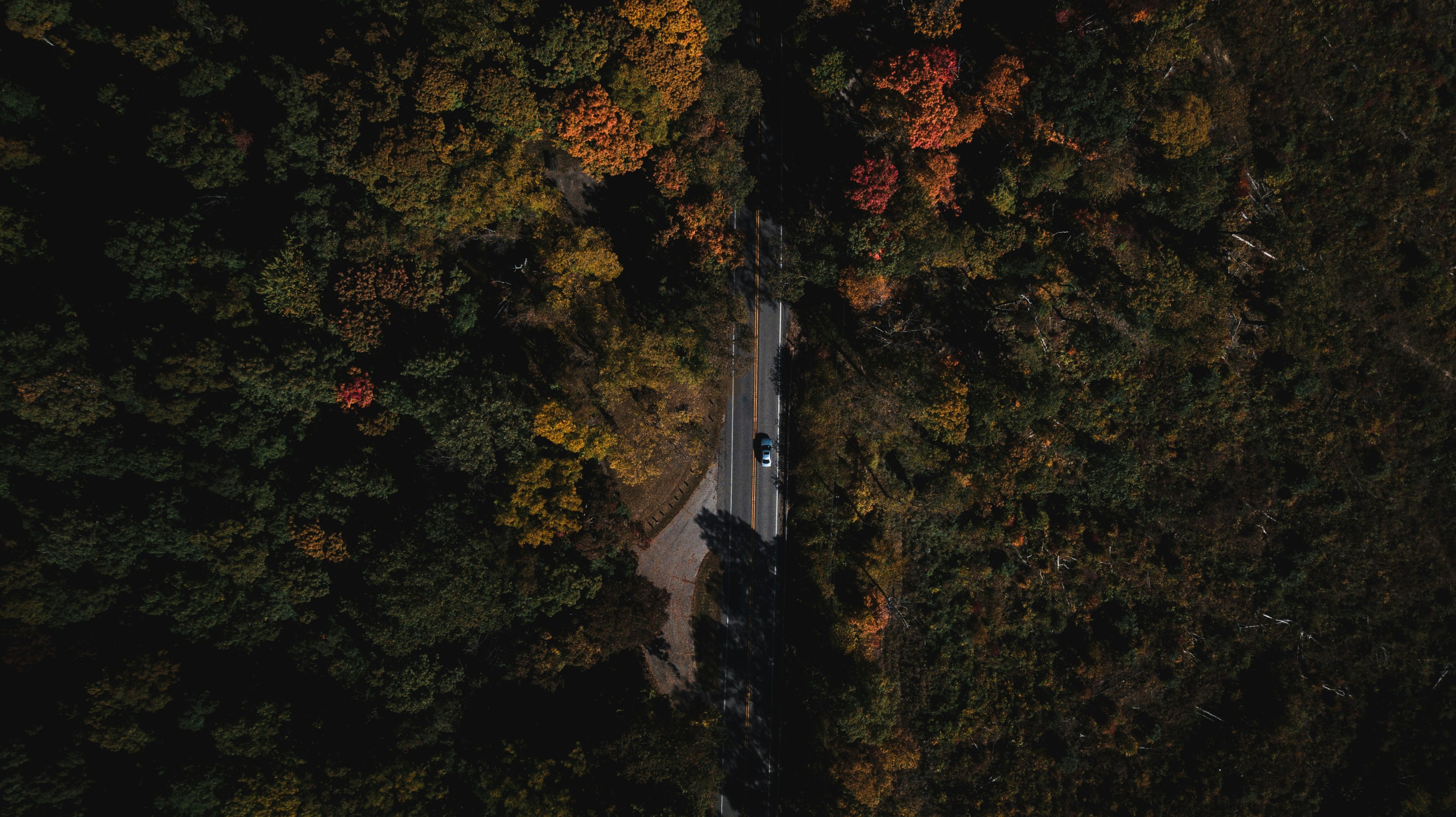 Photo by collinmerkel1