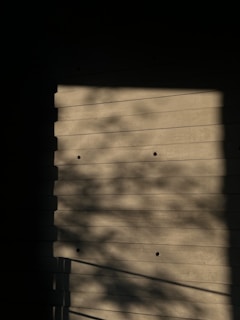 Abstract shadows cast on a minimalist wall, creating a play of light and dark.