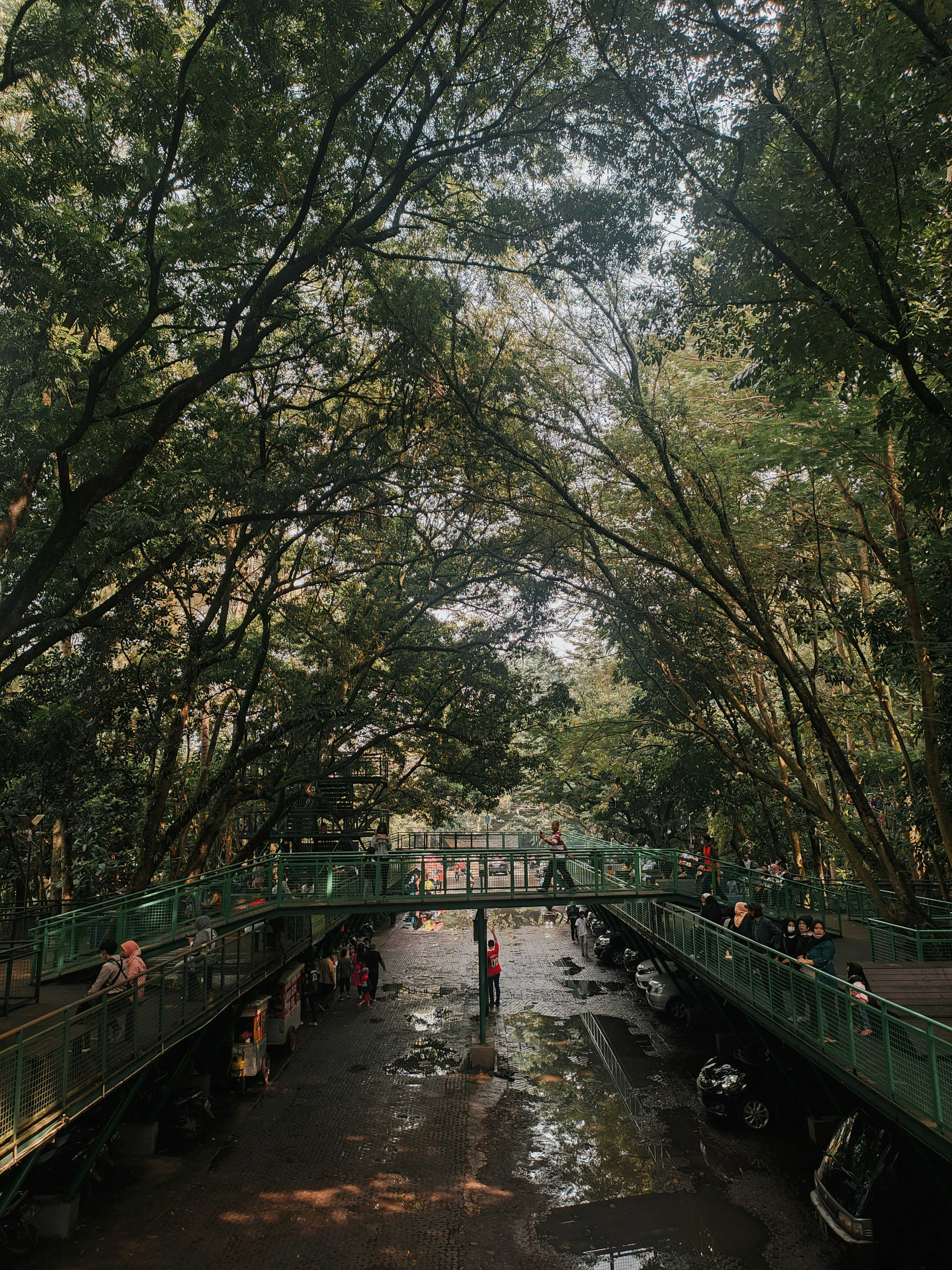 jembatan dengan sungai dan orang-orang di atasnya