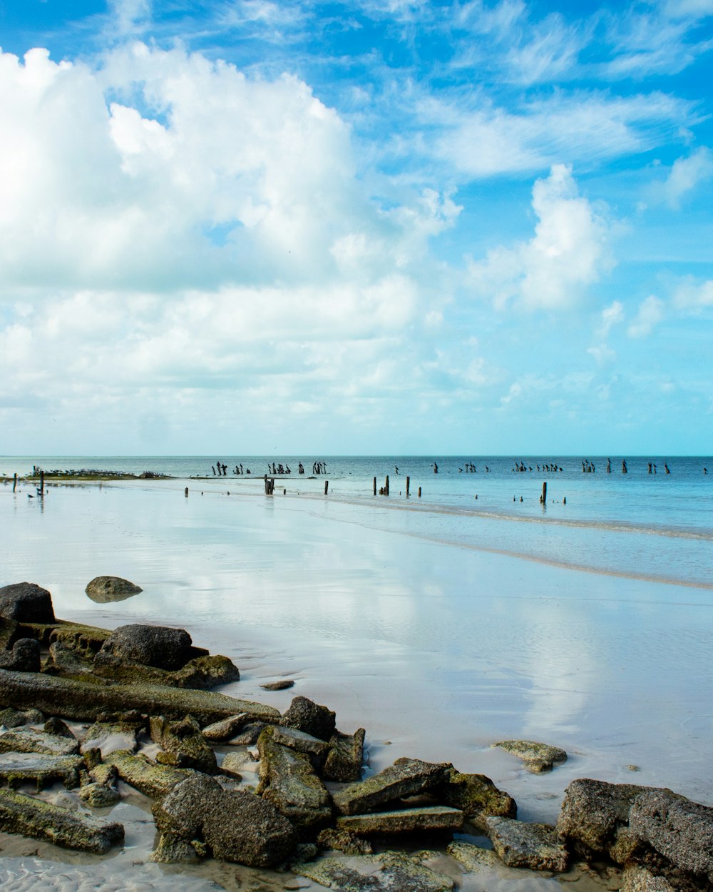 a beach with rocks and a body of water with people walking on it