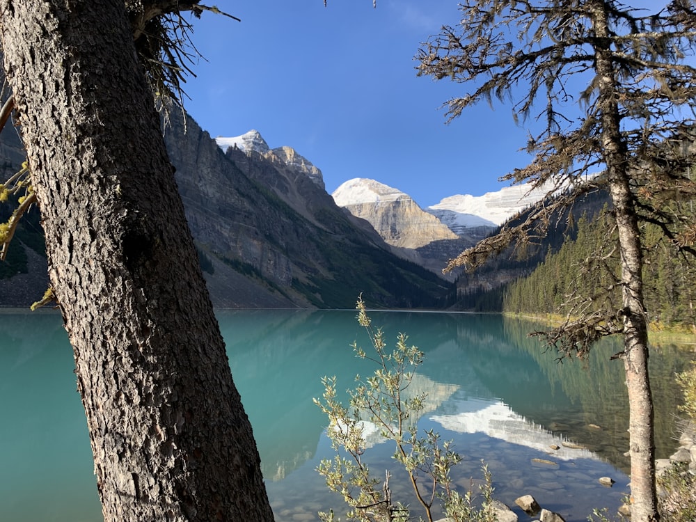 a lake with mountains in the background