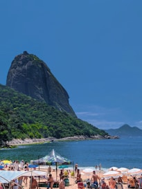 a beach with people and umbrellas