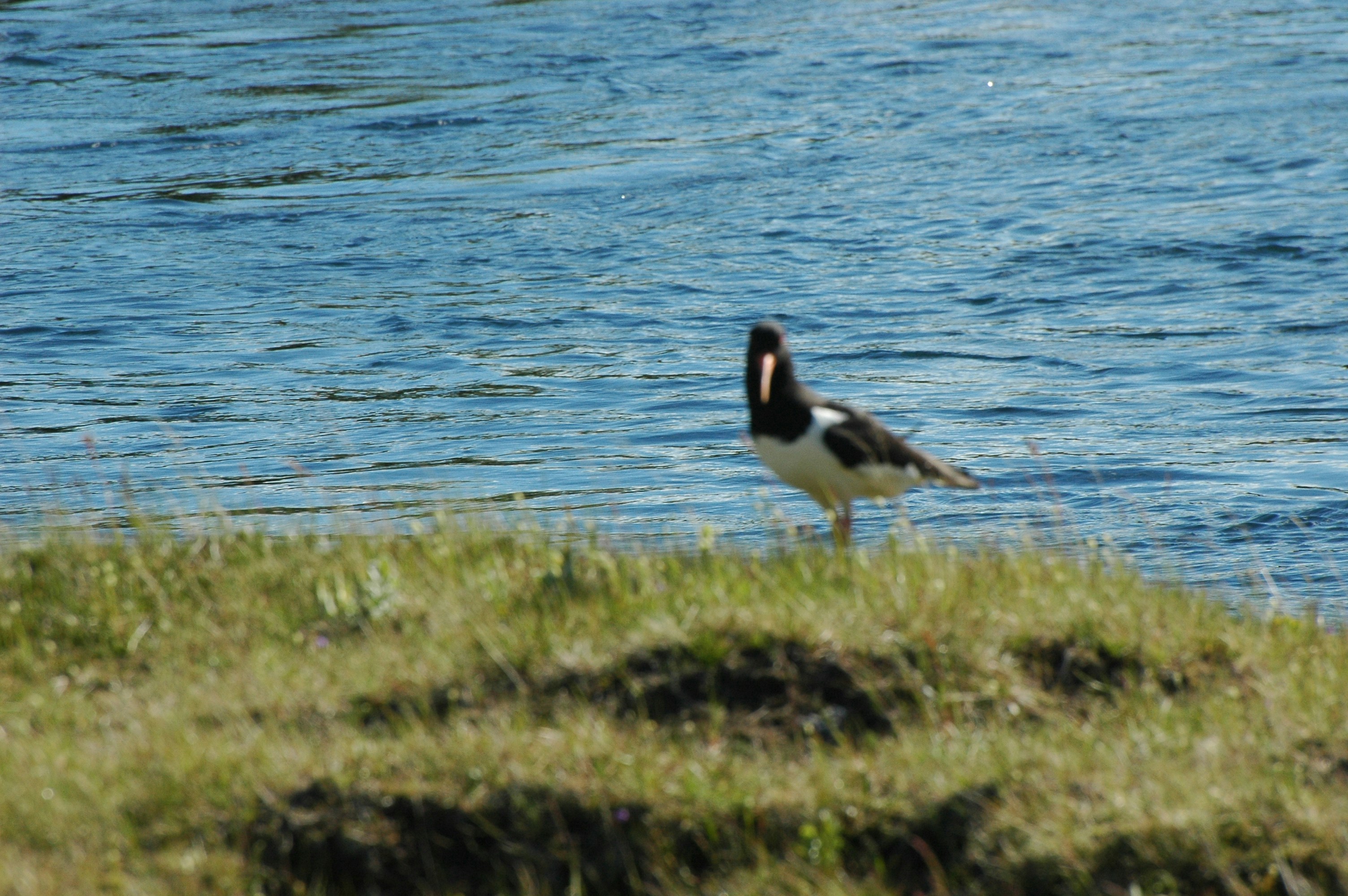 Photo by worldwidephotography