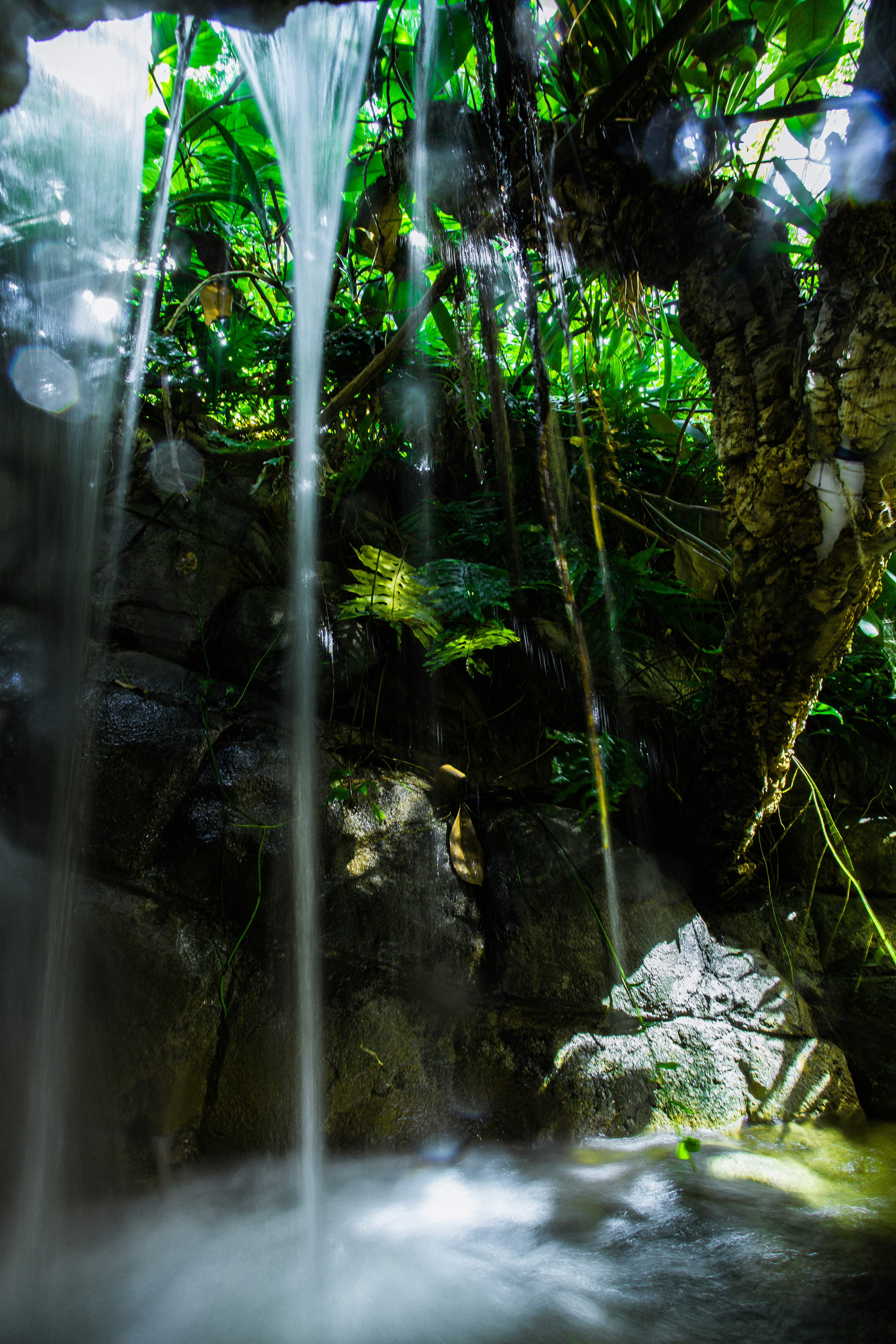 Photo by photosoflogan