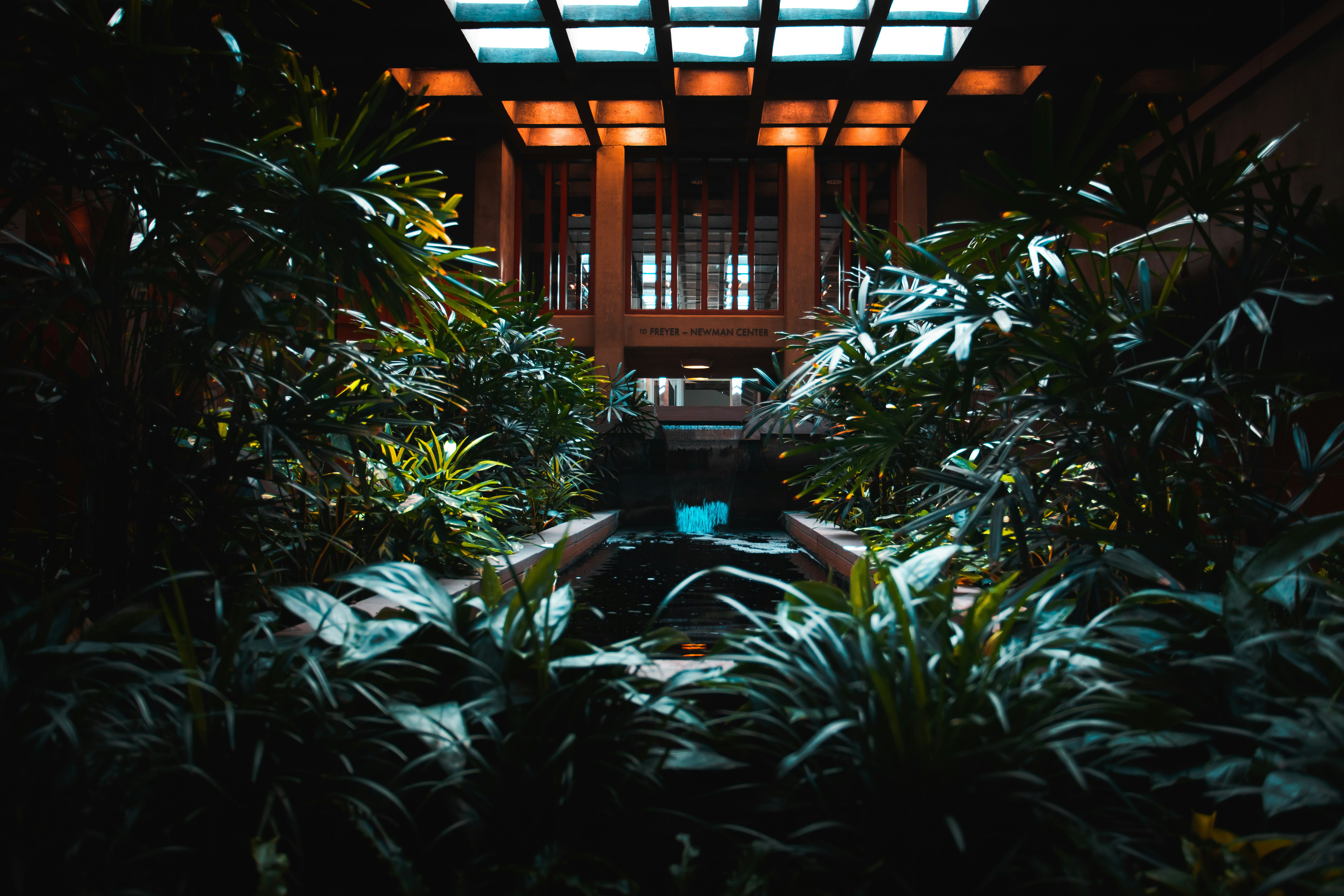 Photo by photosoflogan